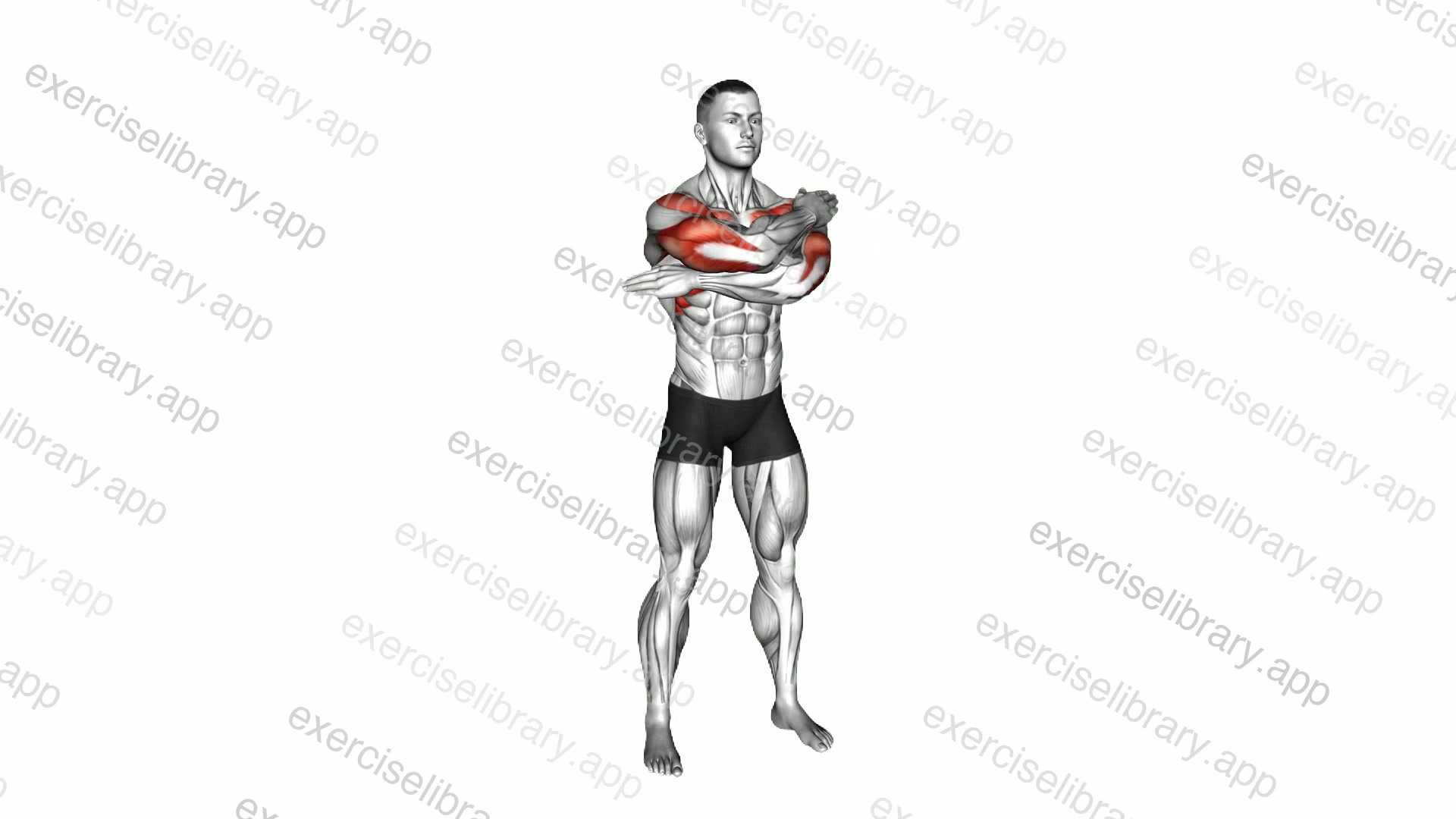 Standing Stacked Arms Lift demonstration