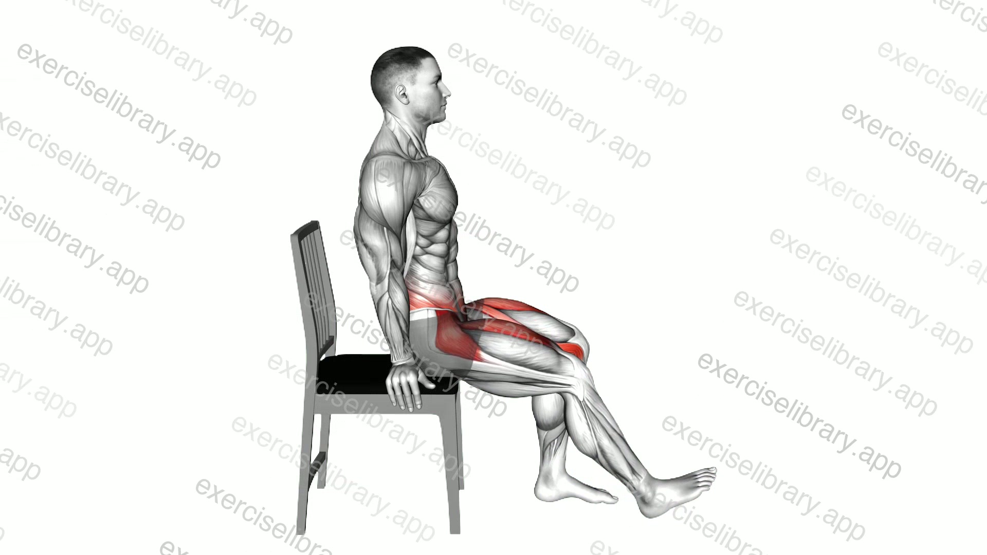 Seated Single Leg Raise on Chair demonstration