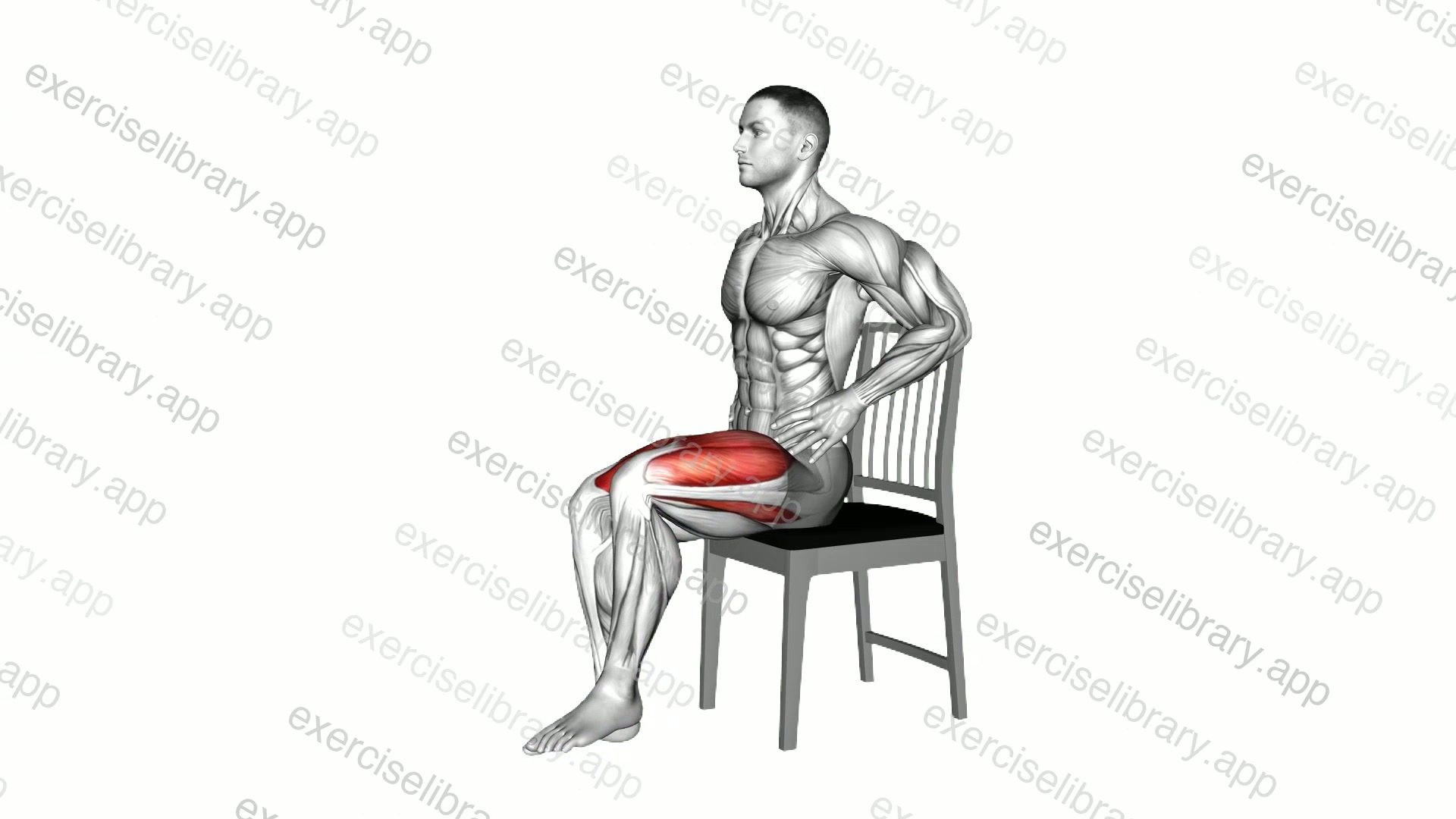 Seated Alternate Knee Extension on Chair demonstration