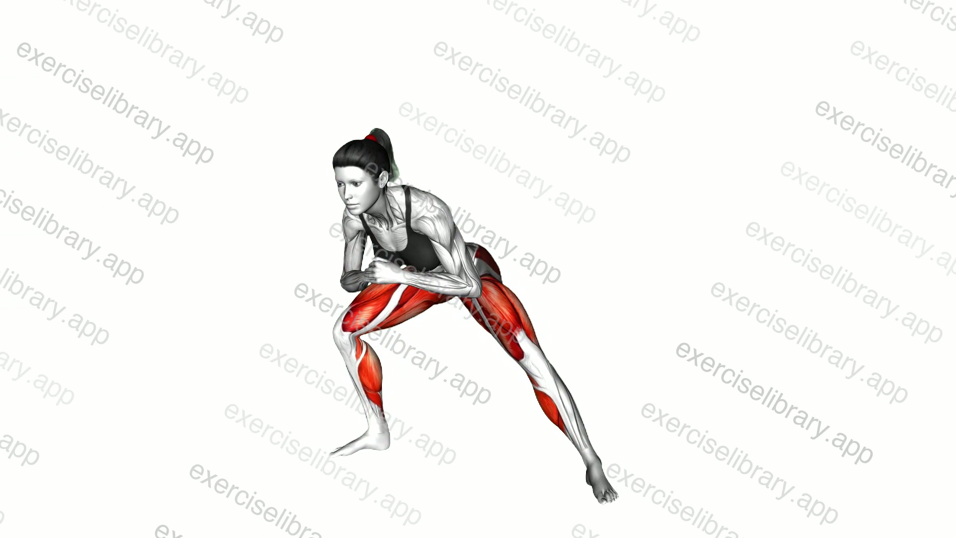 Side Lunge Stretch demonstration