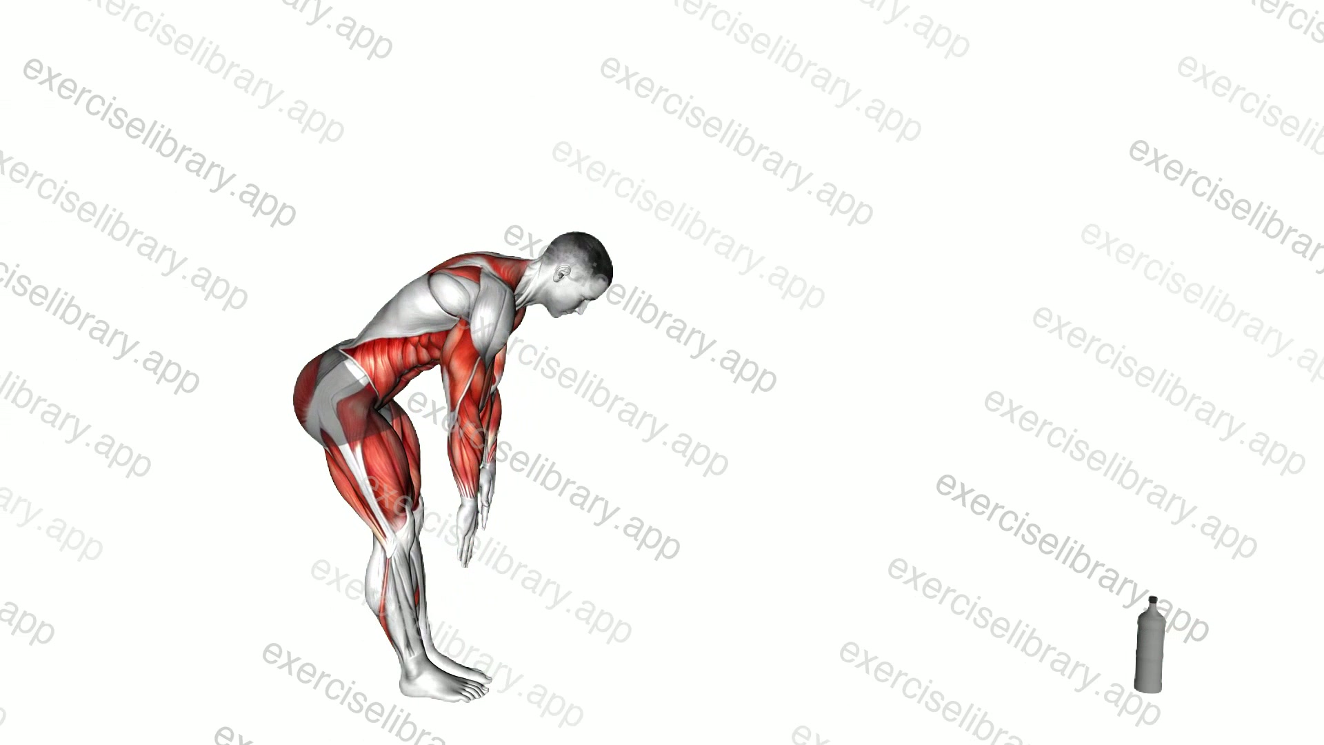 Inchworm Front Arm Tap demonstration