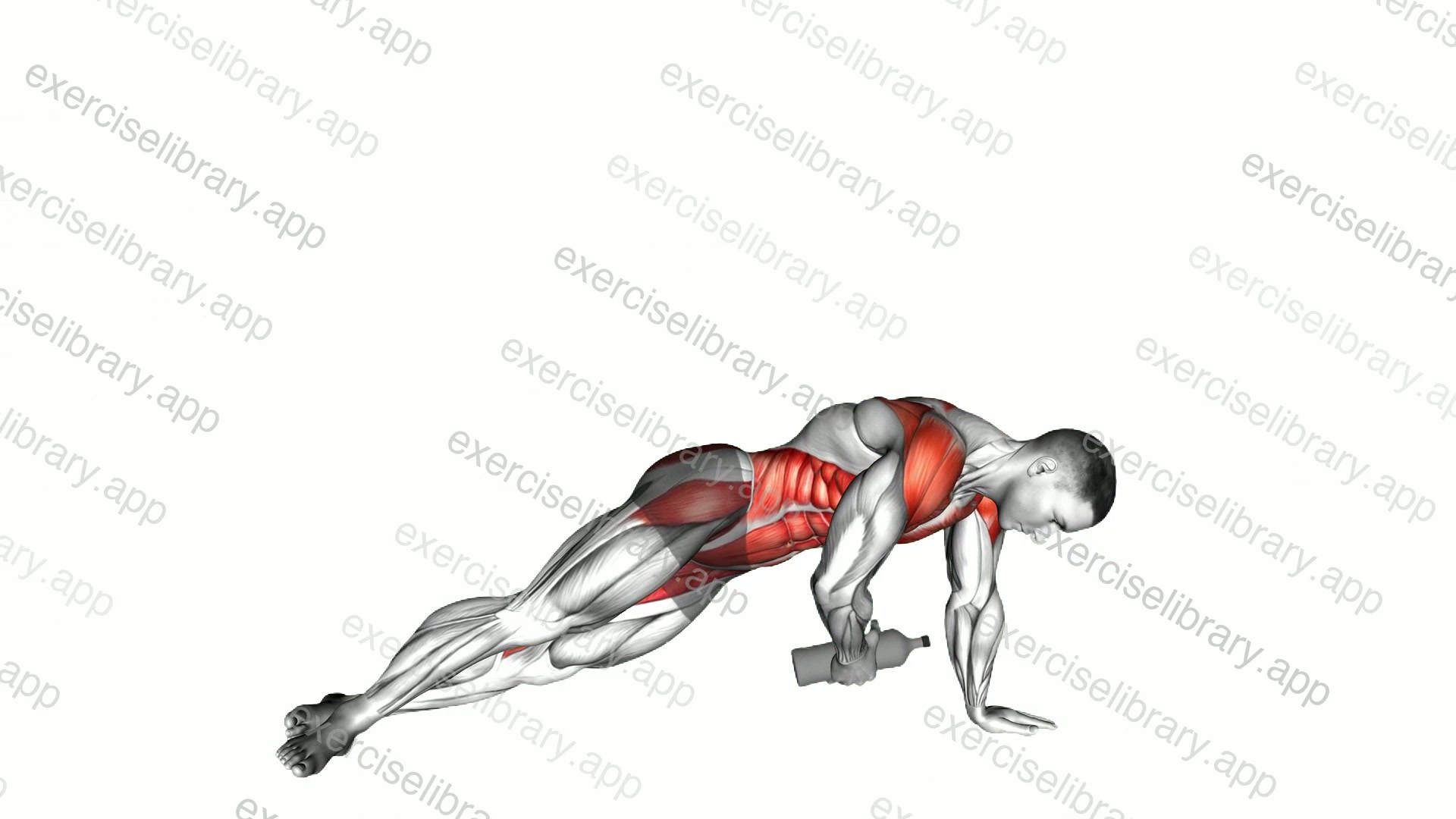 Weighted Bottle Side Floor Tap Plank demonstration