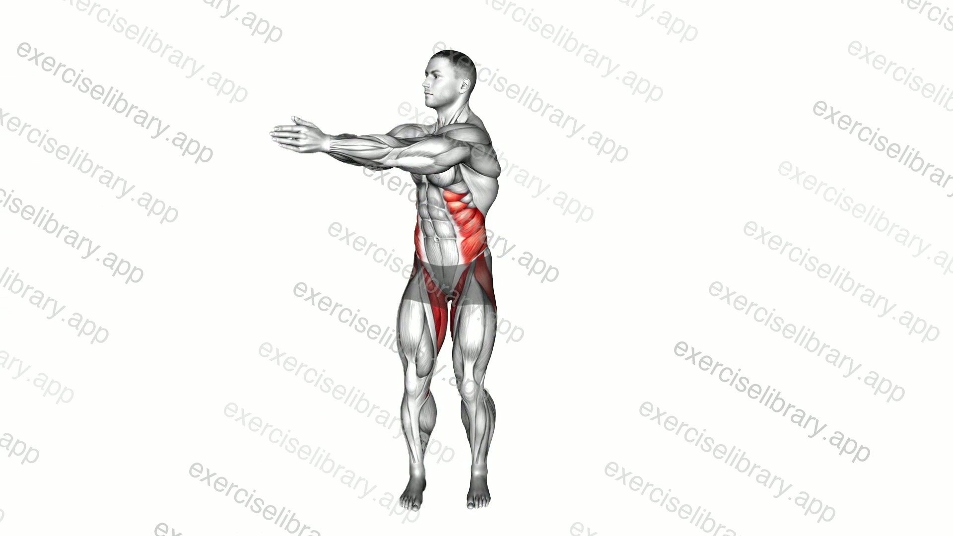 Ab Twist Toe Tap demonstration
