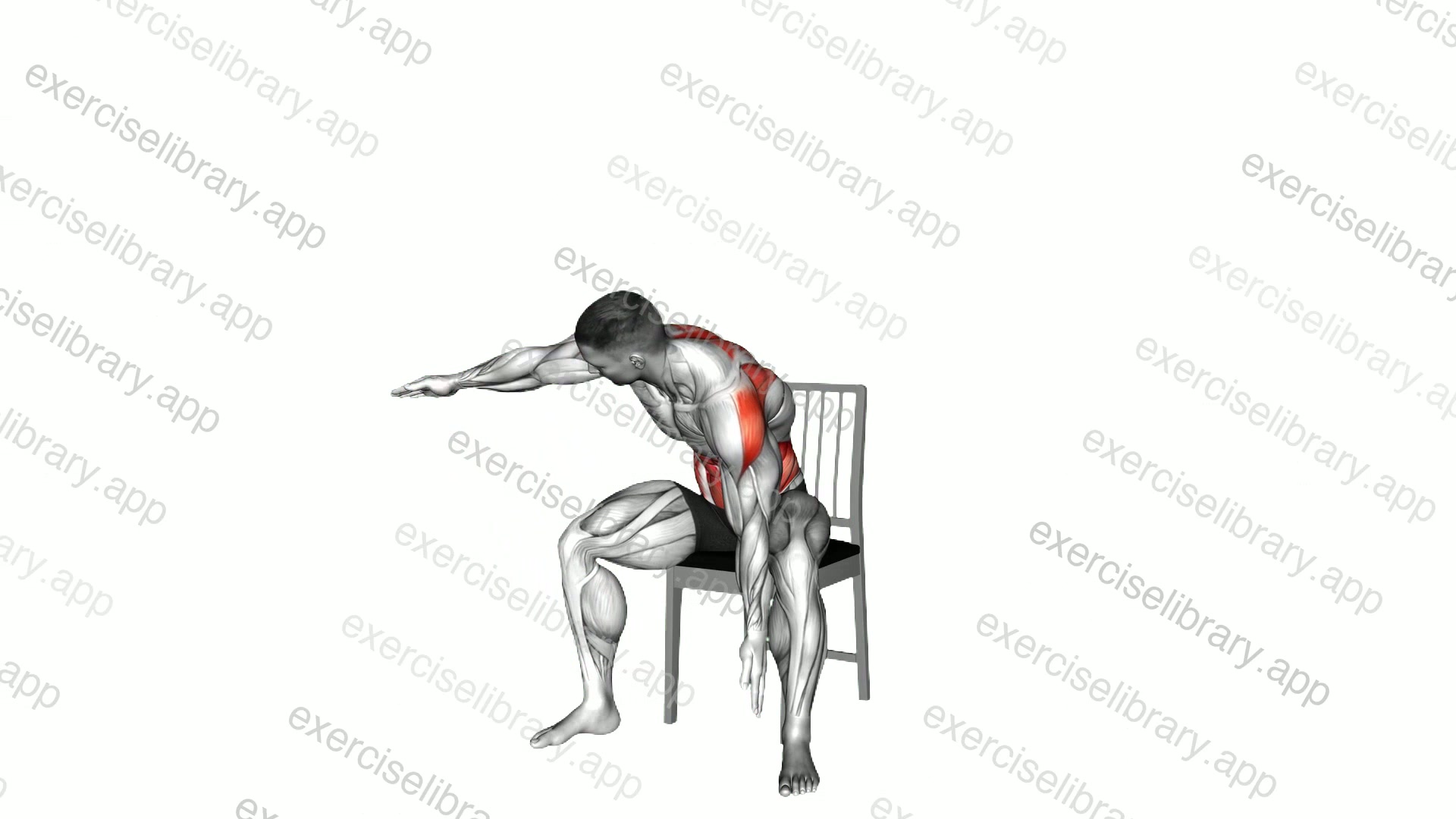 Seated Alternate Thoracic Rotation on a Chair demonstration