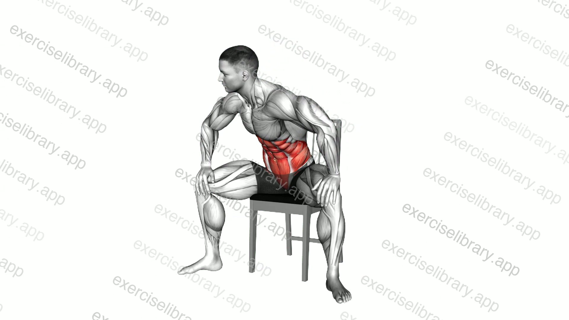 Seated Alternate Back Rotation on a Chair demonstration