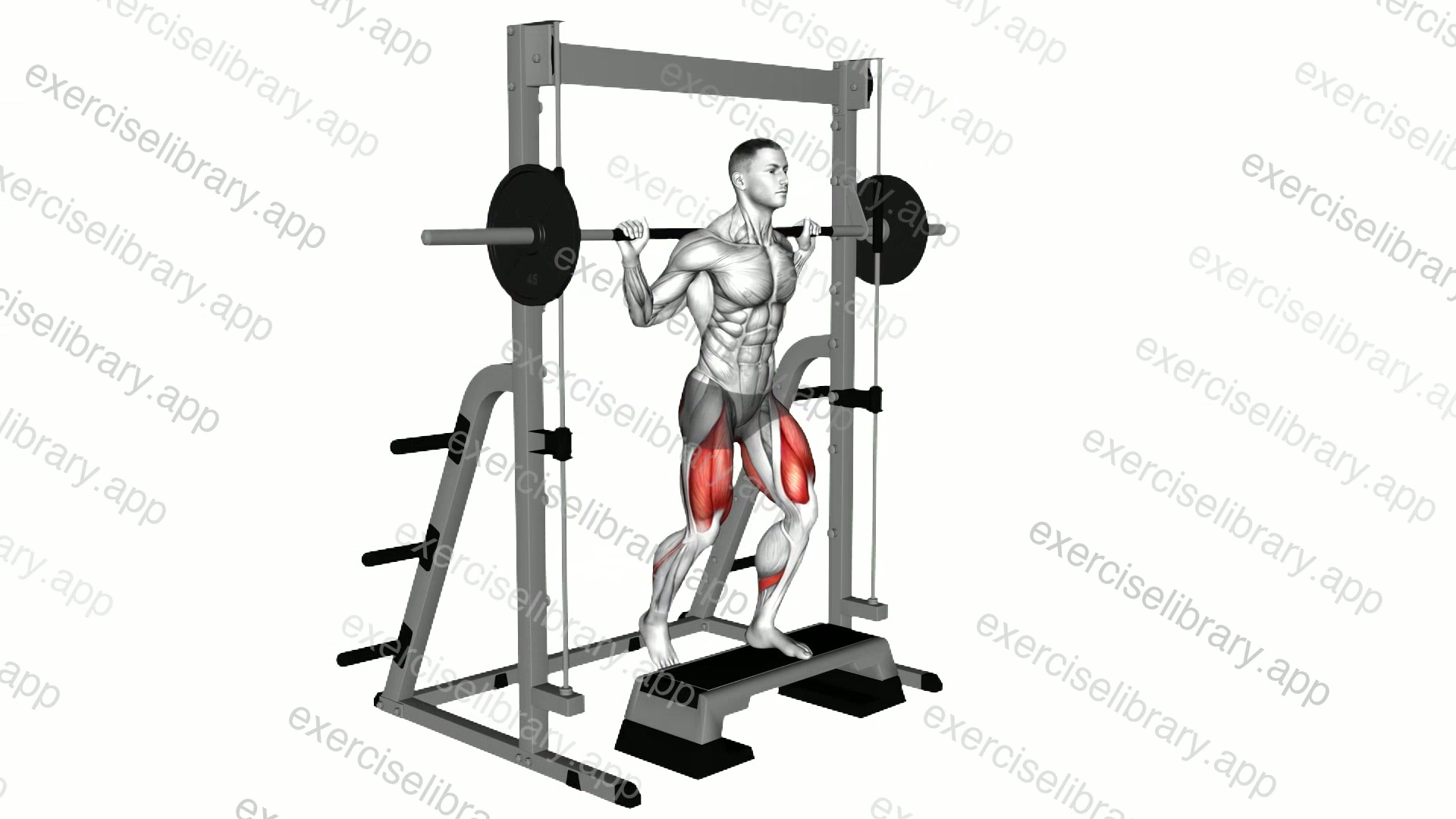Smith Rear Lunge from Deficite demonstration
