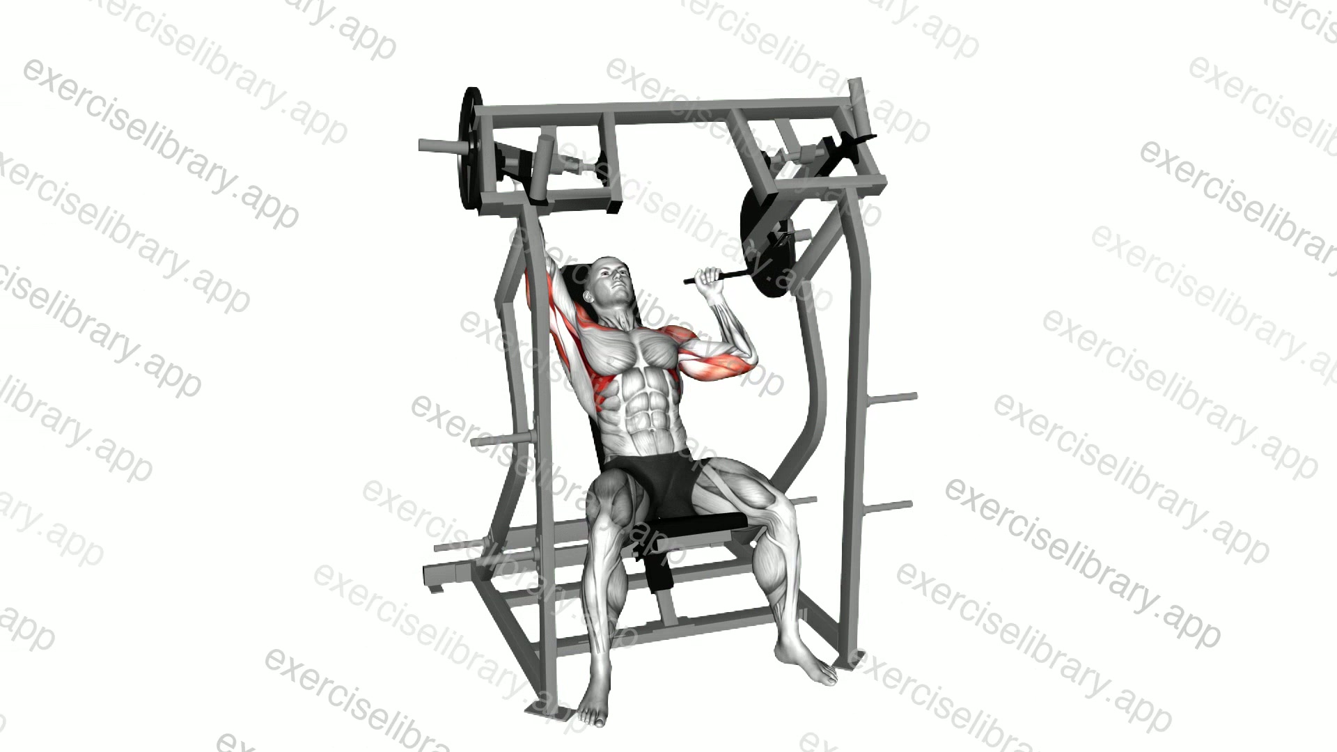 Lever Single Arm Shoulder Press demonstration
