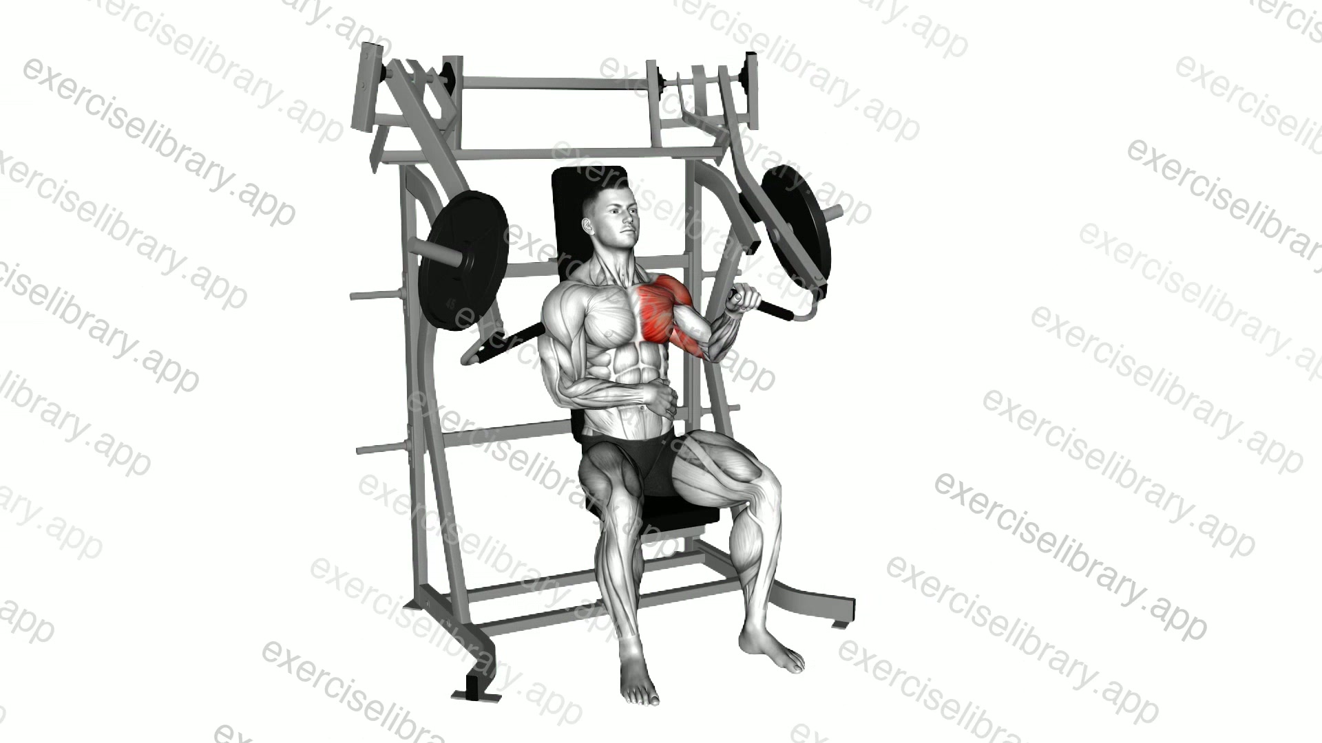 Lever Incline Single Arm Chest Press demonstration