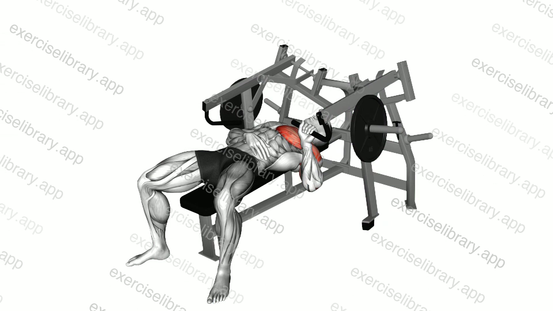 Lever Lying Single Arm Full Chest Press demonstration