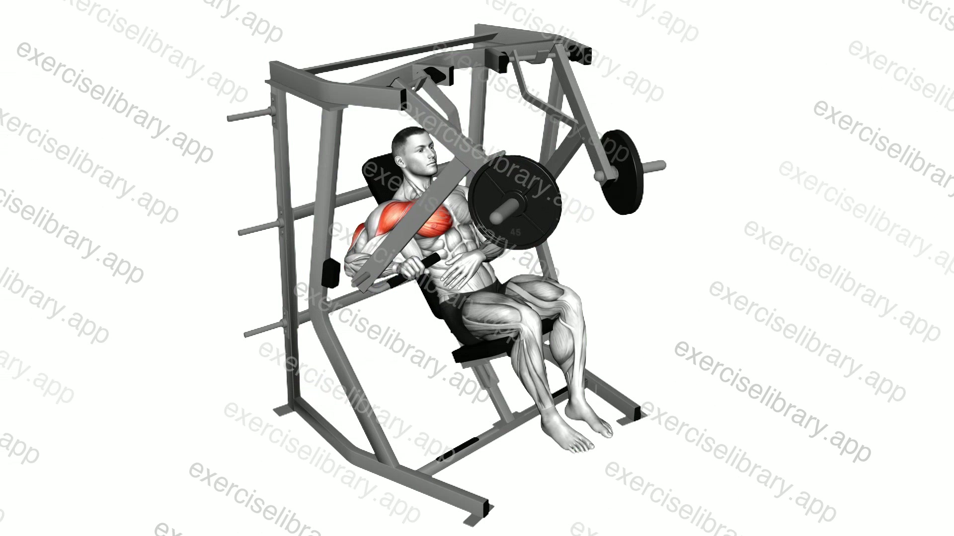 Lever Decline Single Arm Chest Press demonstration