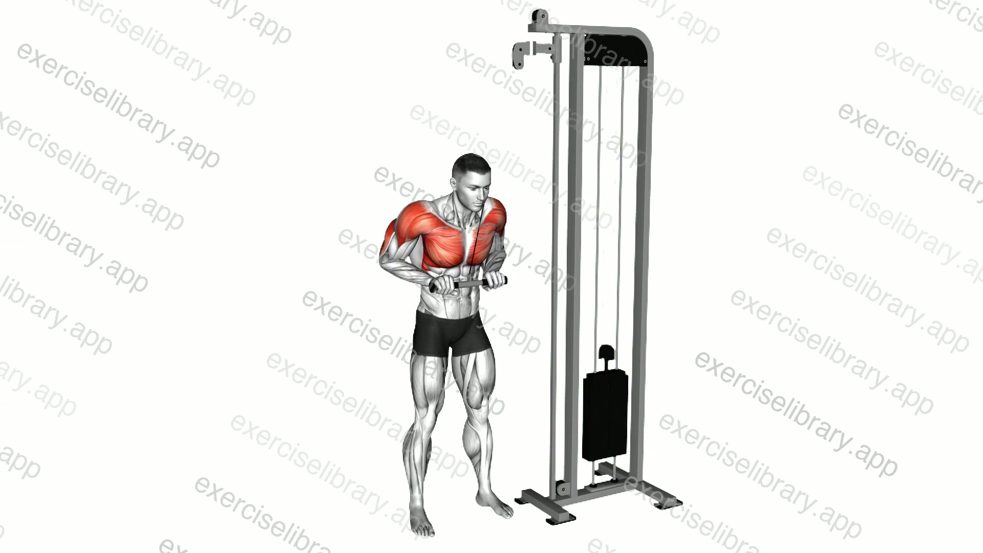 Cable Jack Hammer Pushdown demonstration