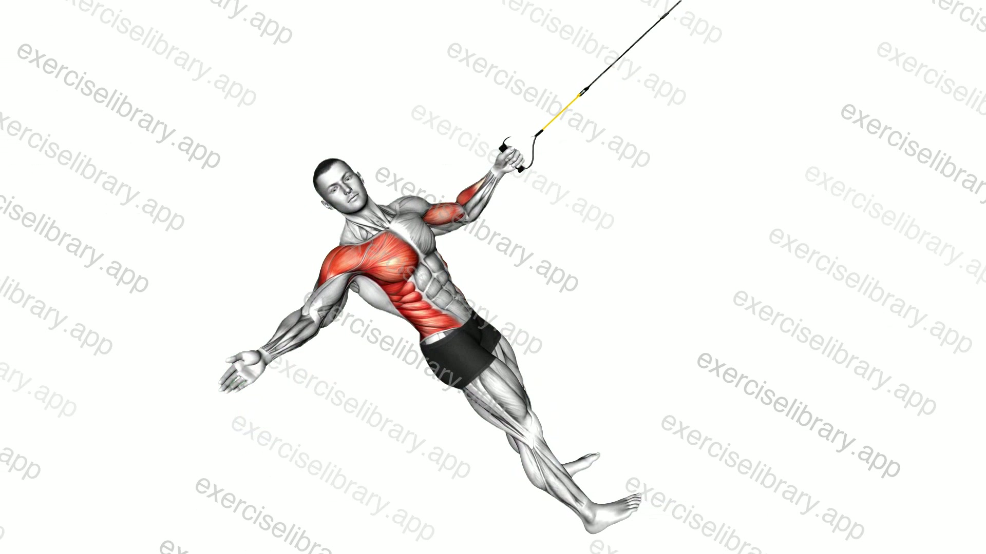 Suspender Power Pull demonstration
