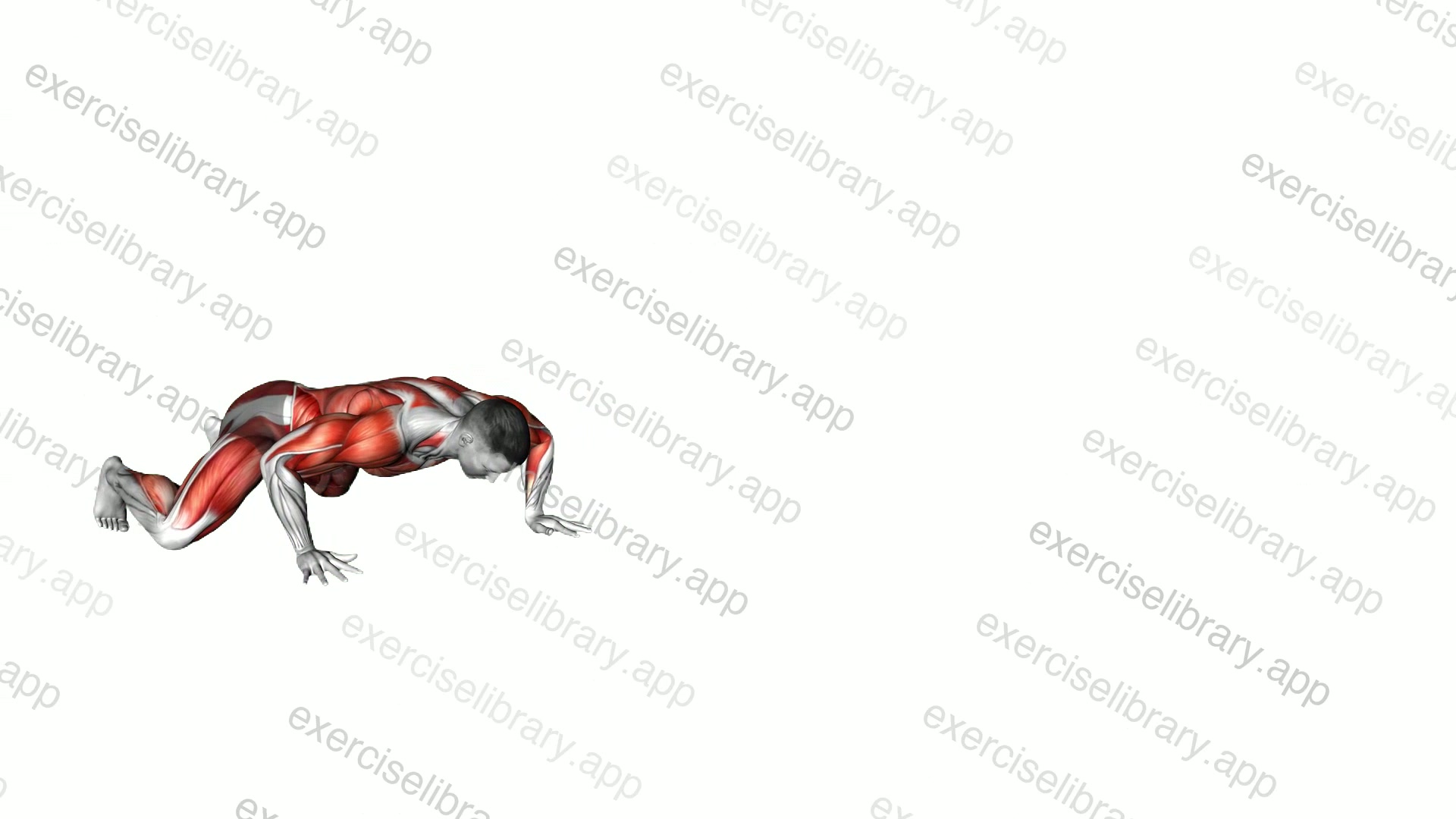 Spider Crawl demonstration