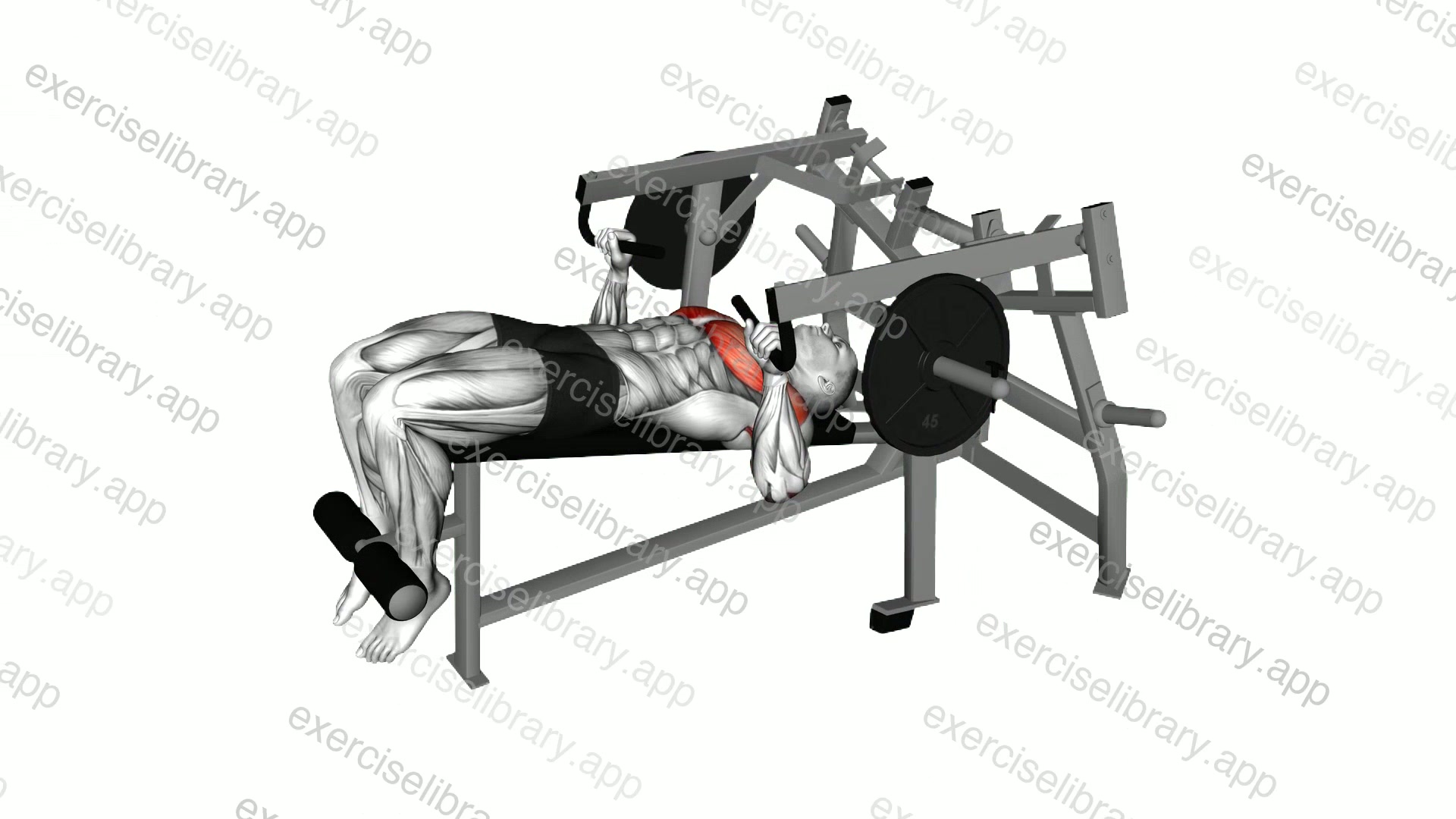 Lever Lying Decline Chest Press demonstration