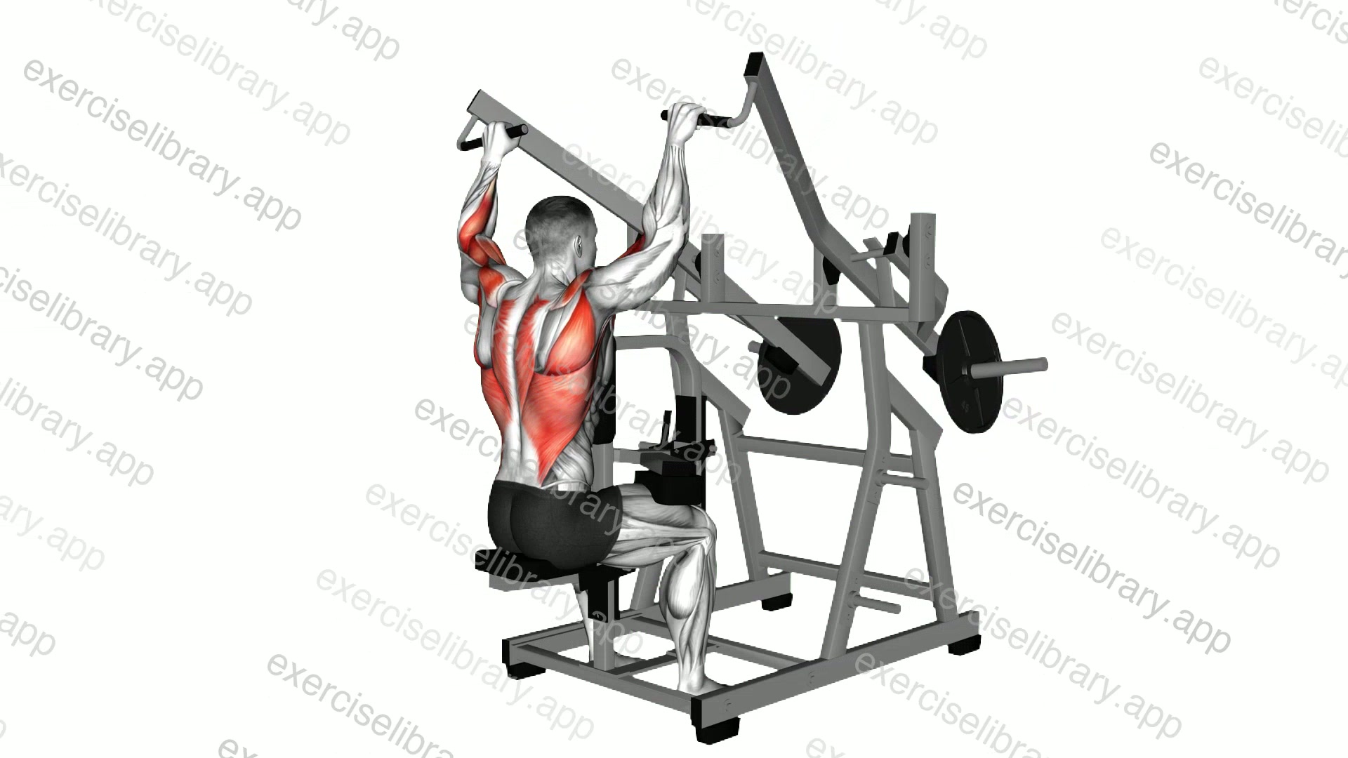 Lever Seated Wide Pulldown demonstration