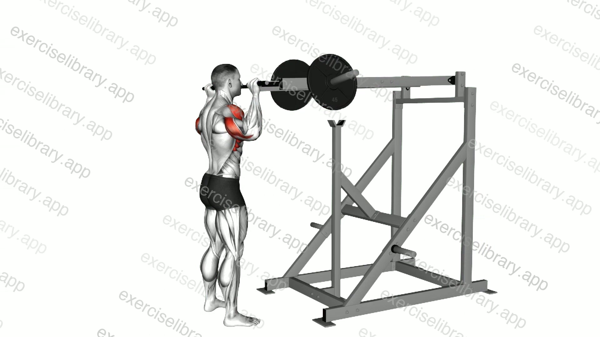 Lever Standing Viking Press demonstration