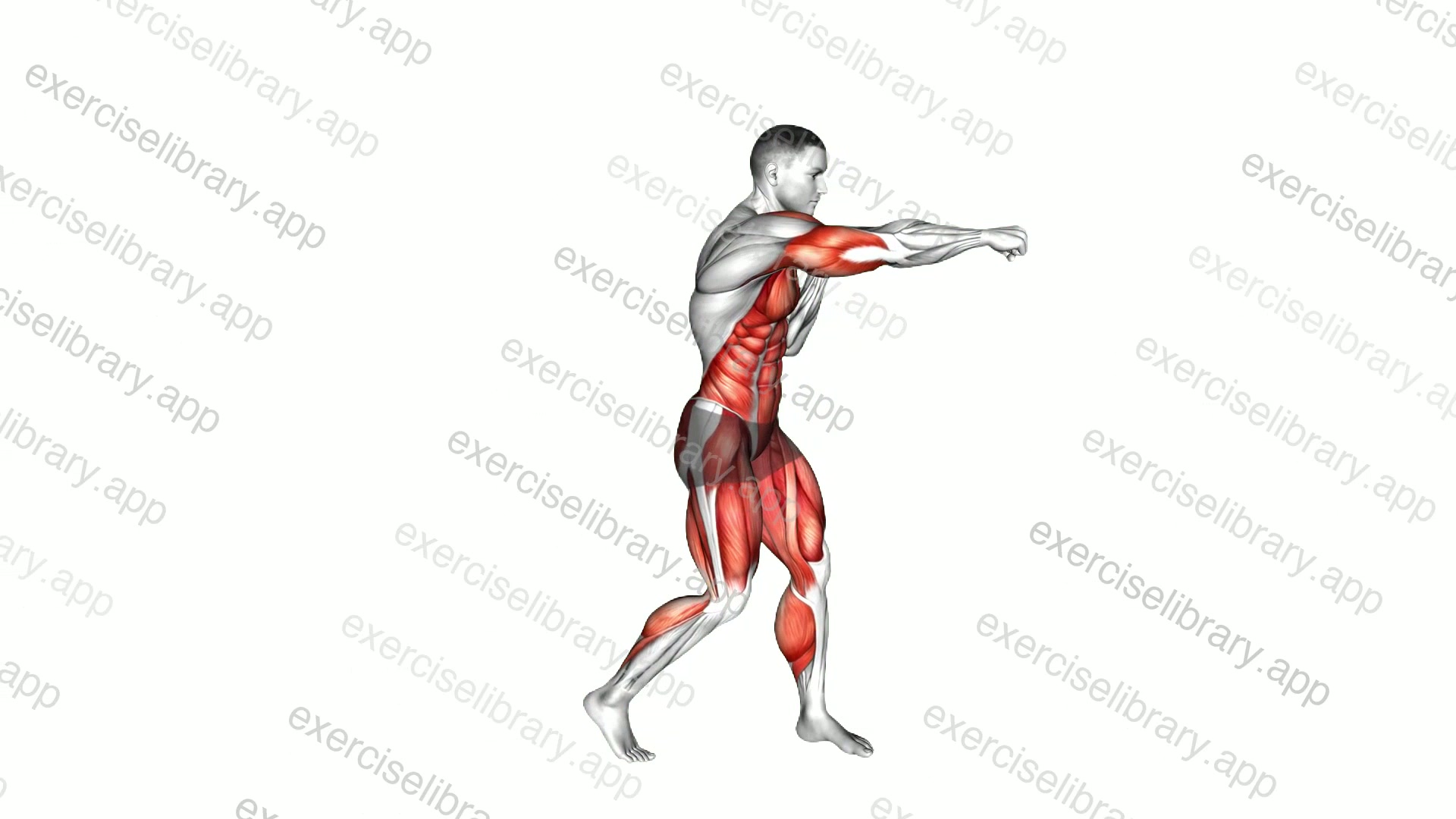 Right Cross Hook Kick demonstration