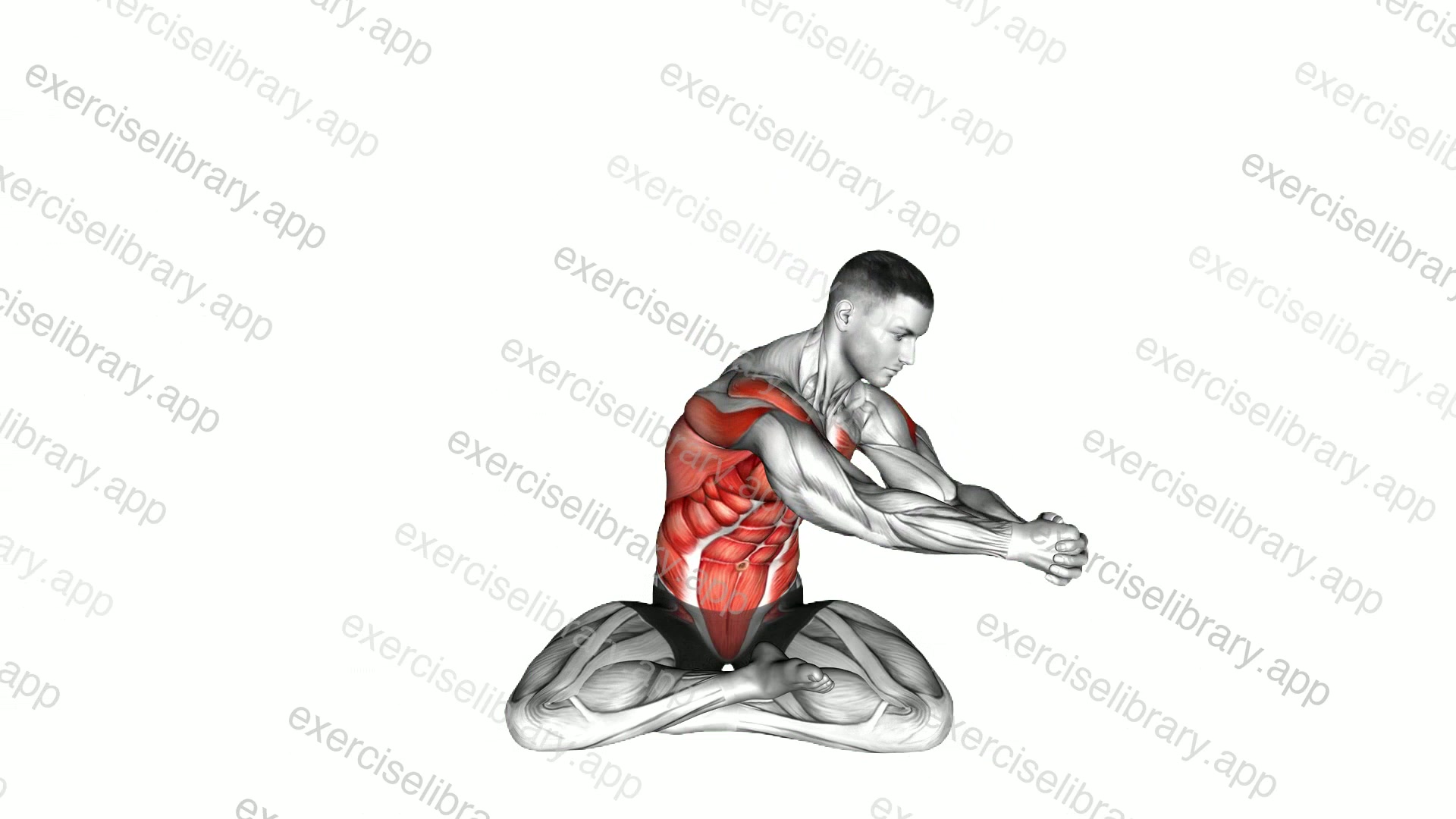 Sitting Lotus Pose Woodchoper demonstration