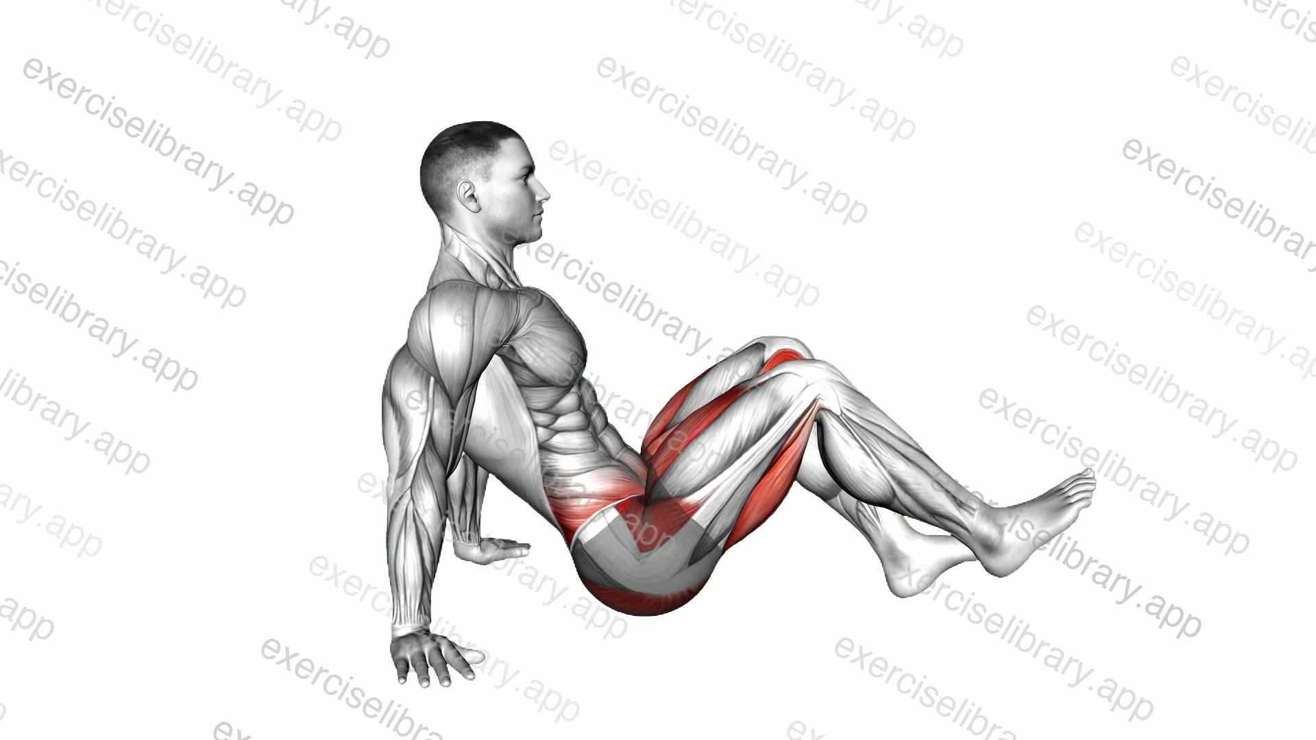Seated Alternate Knee Tuck demonstration