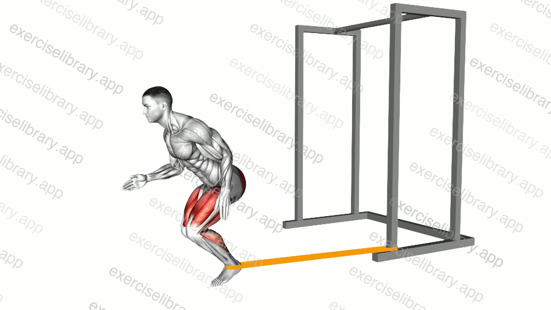 Resistance Band Speed Step demonstration