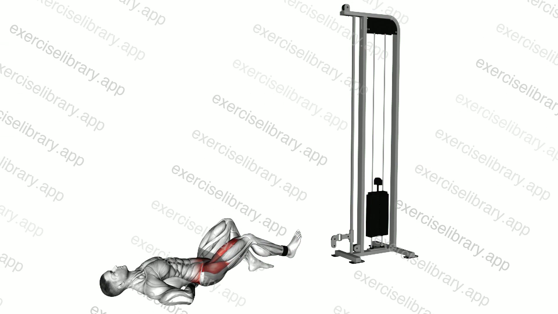 Cable Lying Single Leg Hip Flexion demonstration