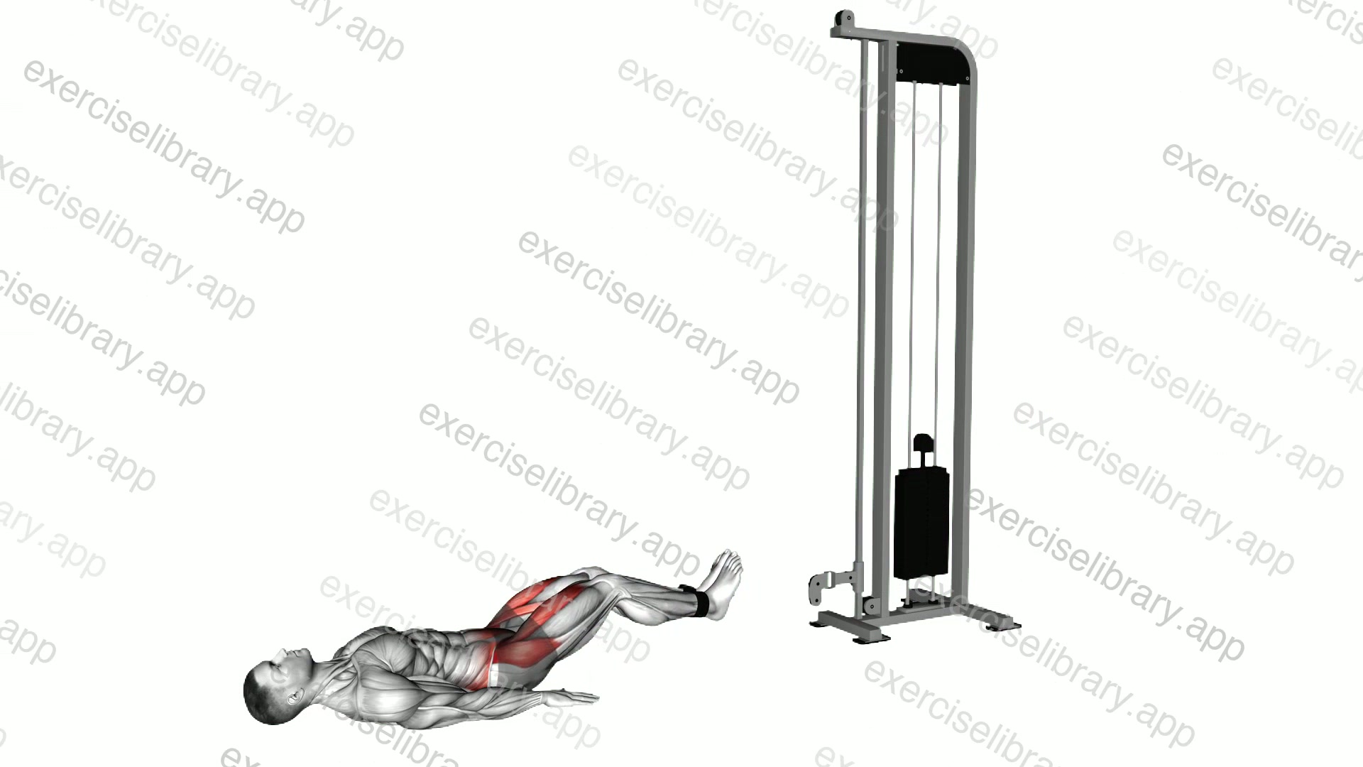 Cable Lying Hip Flexion demonstration