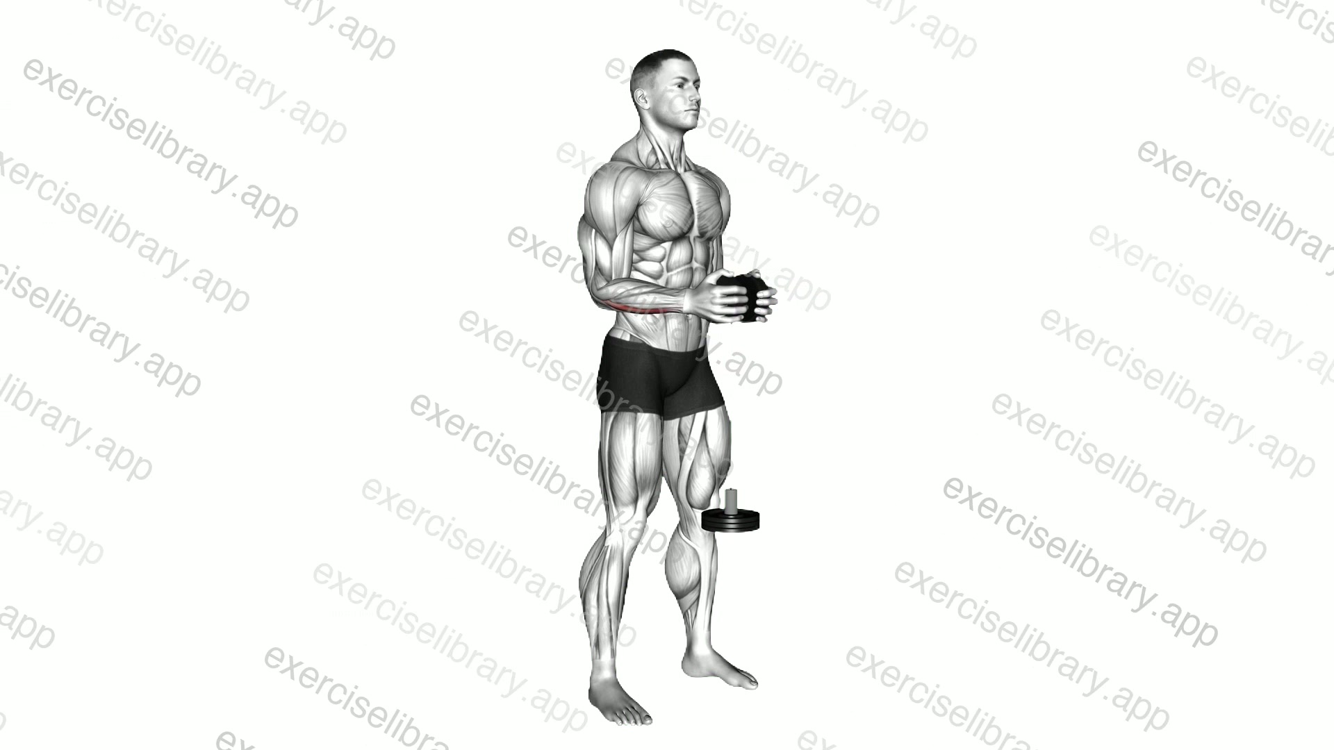 Neutral Wrist Roller demonstration