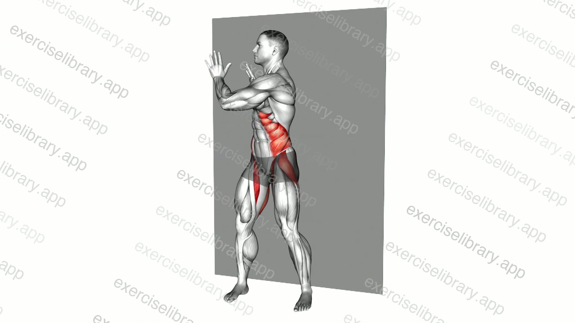 Standing Ab Twist Wall Touch demonstration