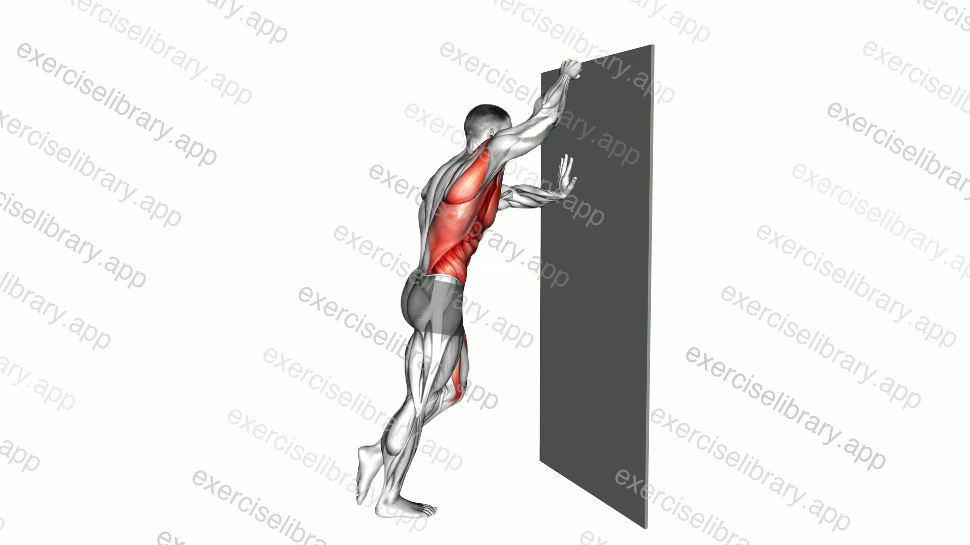 Standing Incline Bird Dog Crunch against Wall demonstration