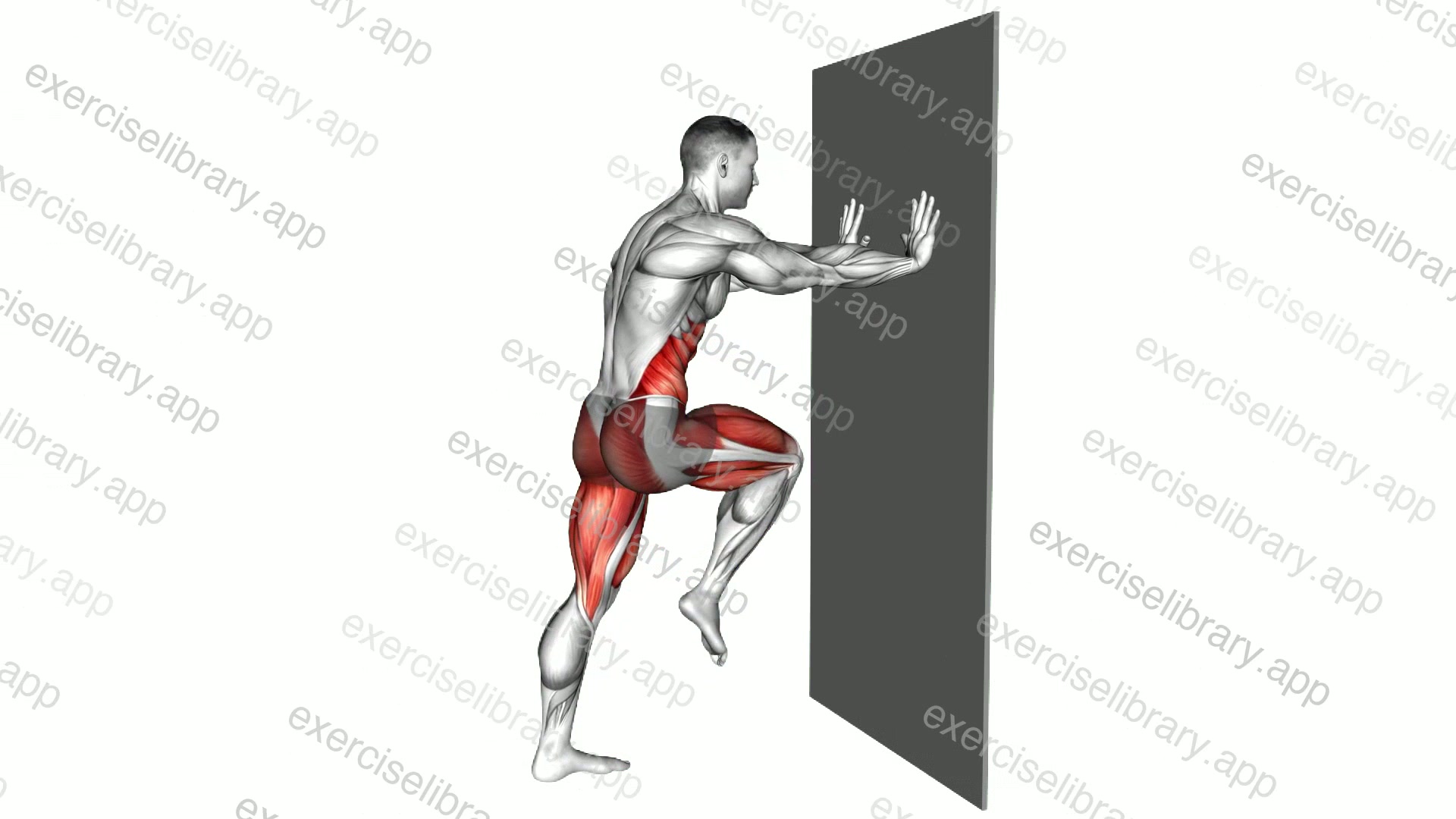 Cross Mountain Climber Kick against Wall demonstration