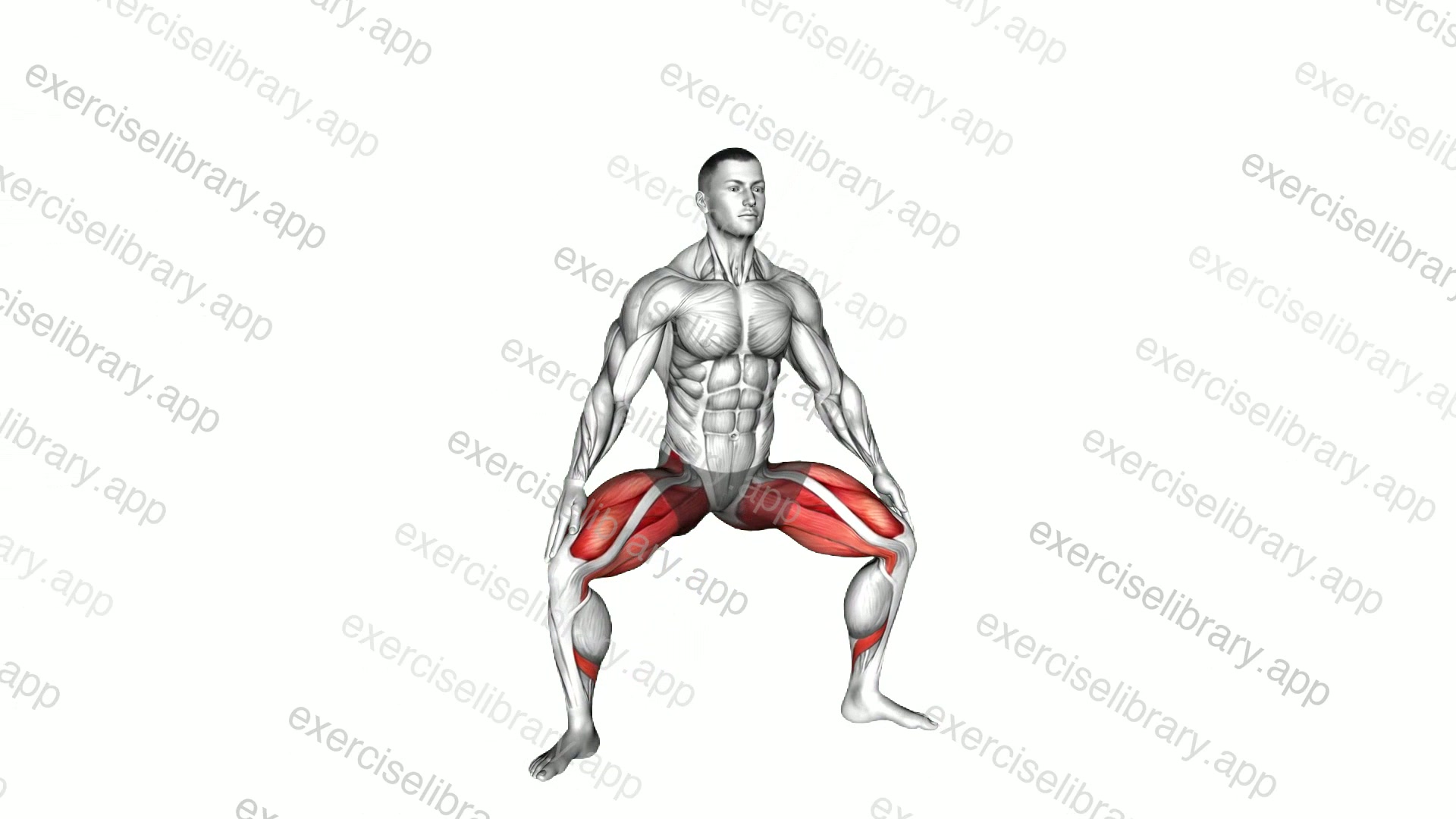 Quick Sumo Squat demonstration