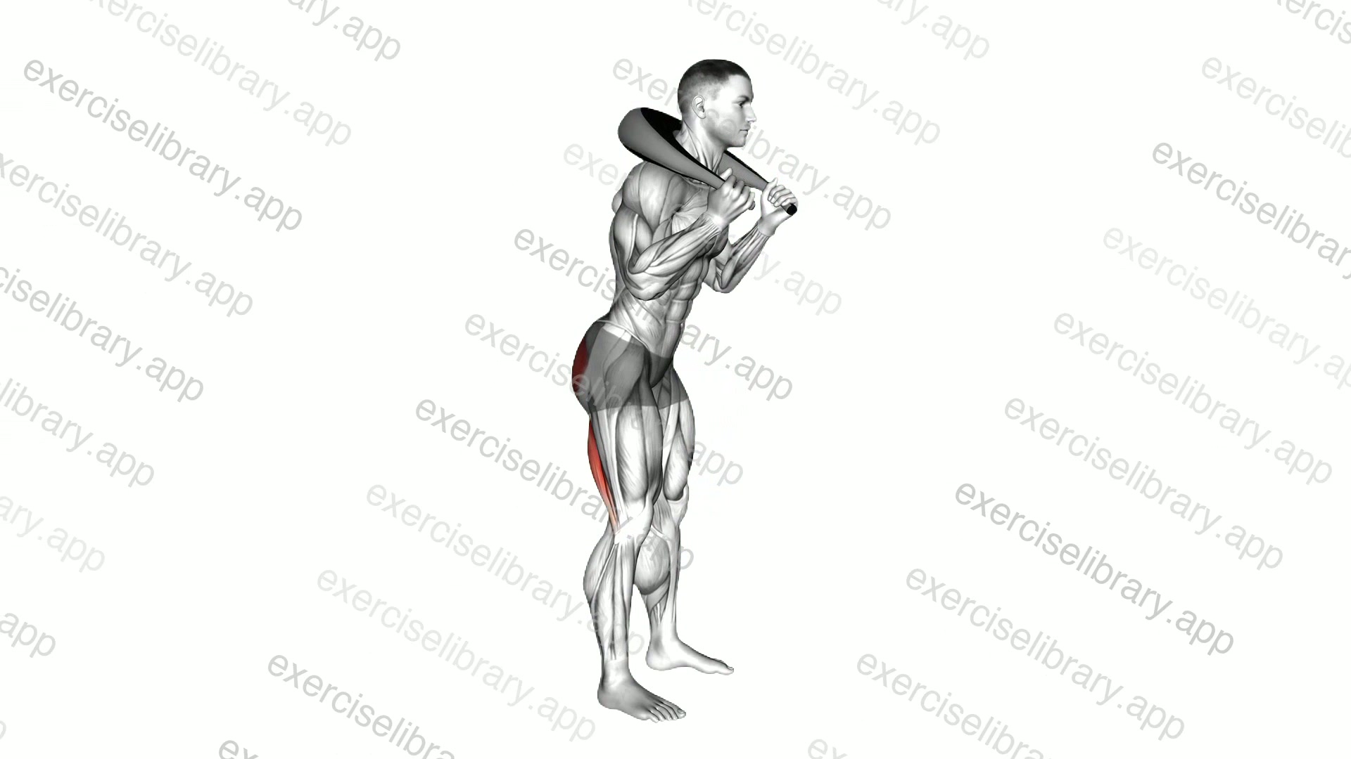 Weighted Bag Good Morning demonstration