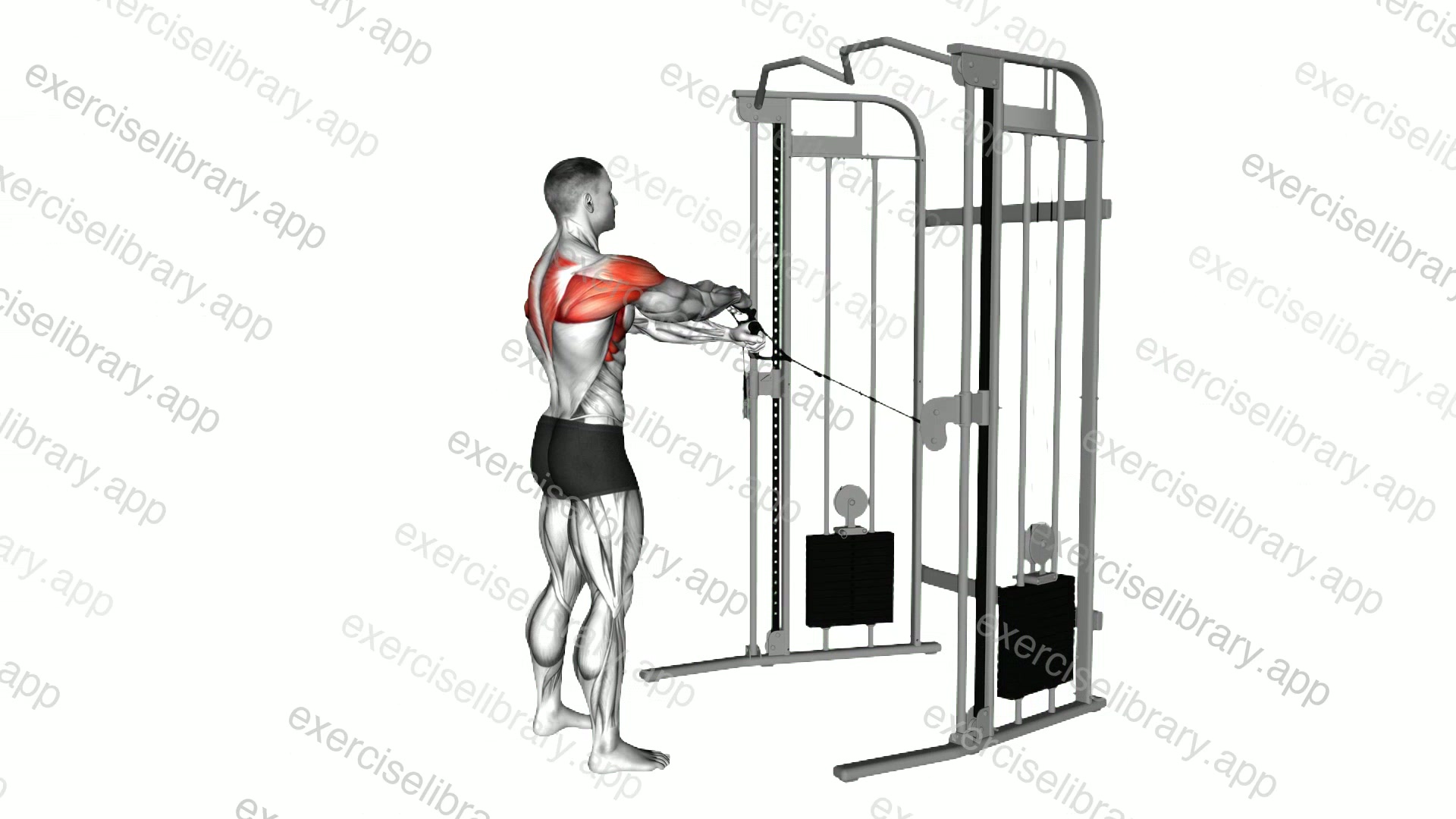 Cable Standing Y raise demonstration