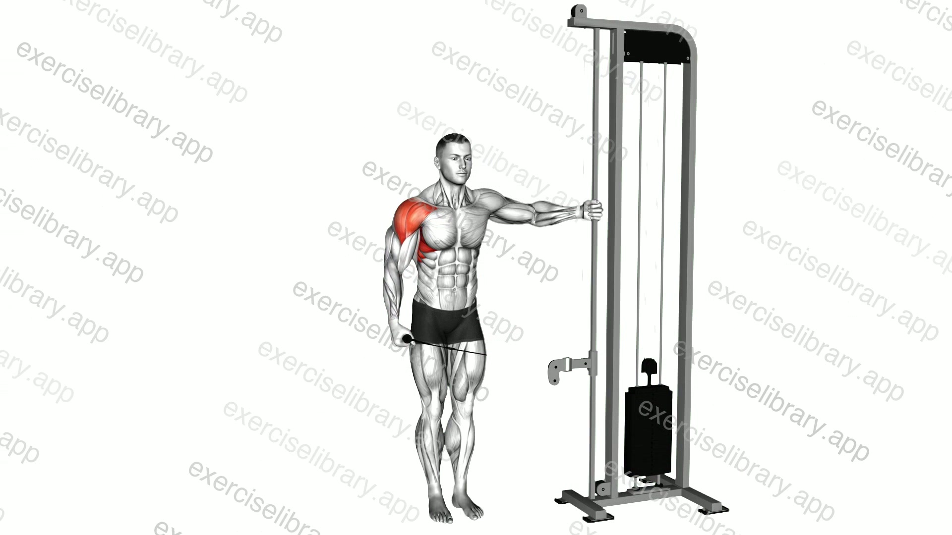 Cable Single Arm Lateral Raise demonstration