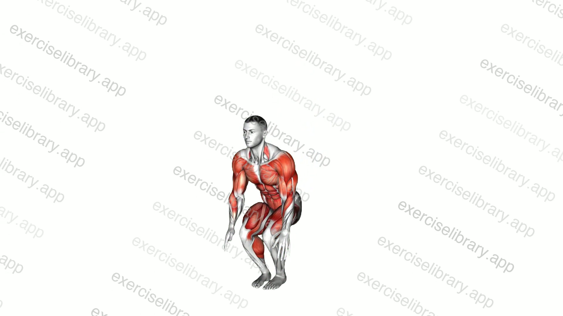 Burpee Side Tap Step Jack demonstration