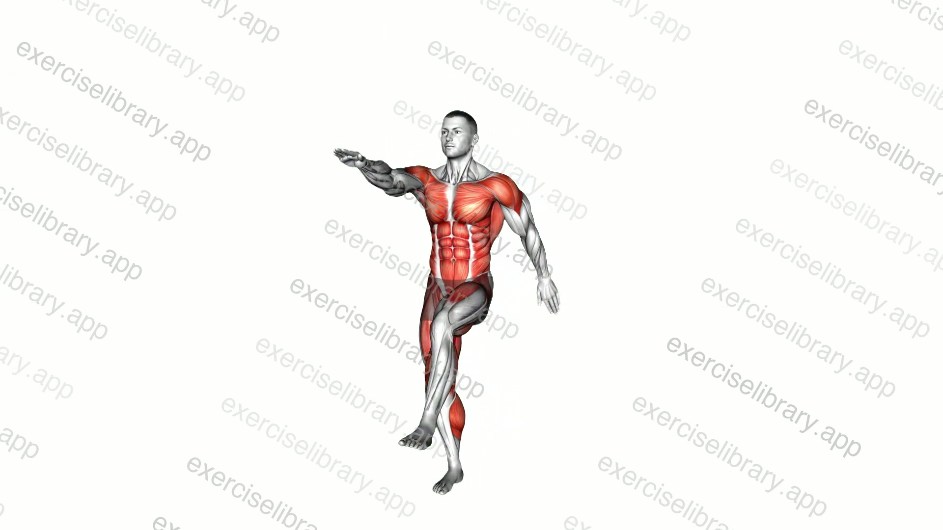 Alternate Leg Lift Tap Arms Circle demonstration