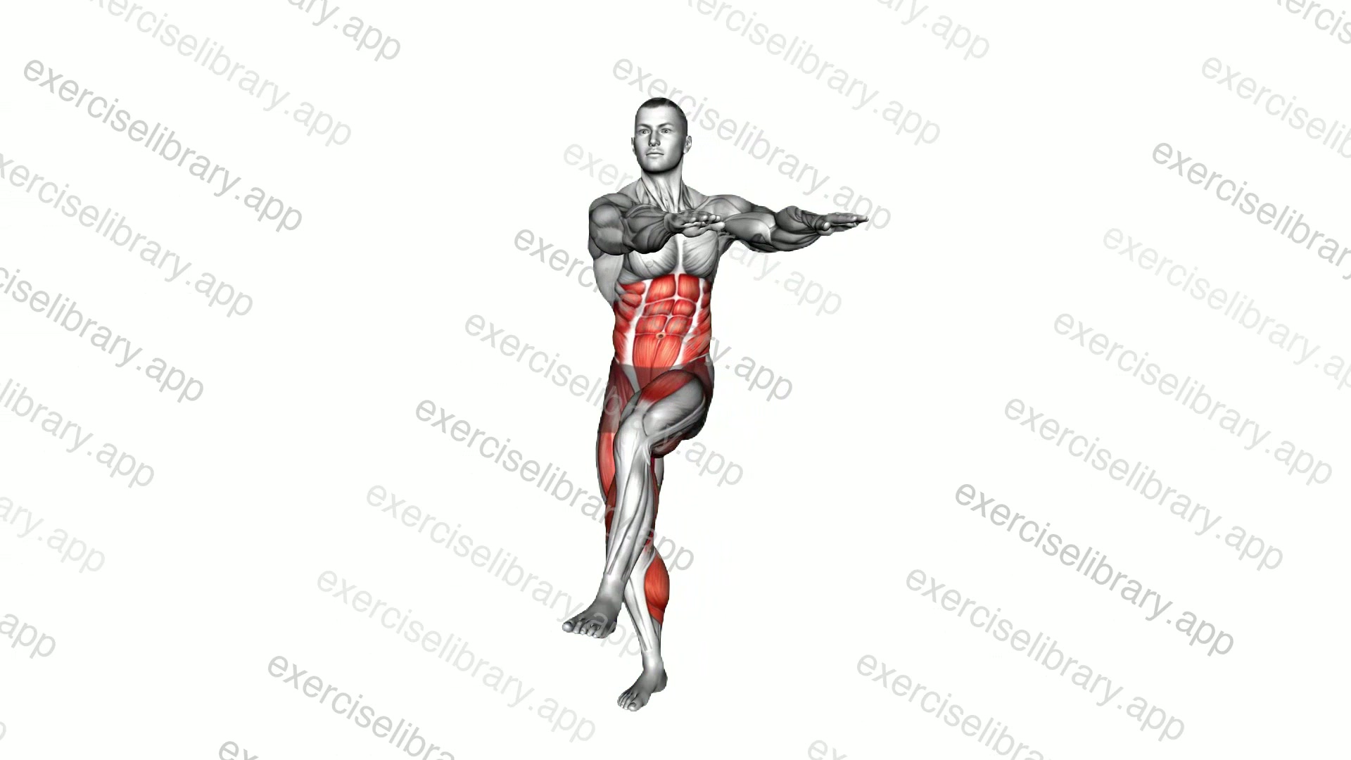 Alternate Leg Lift Twist demonstration