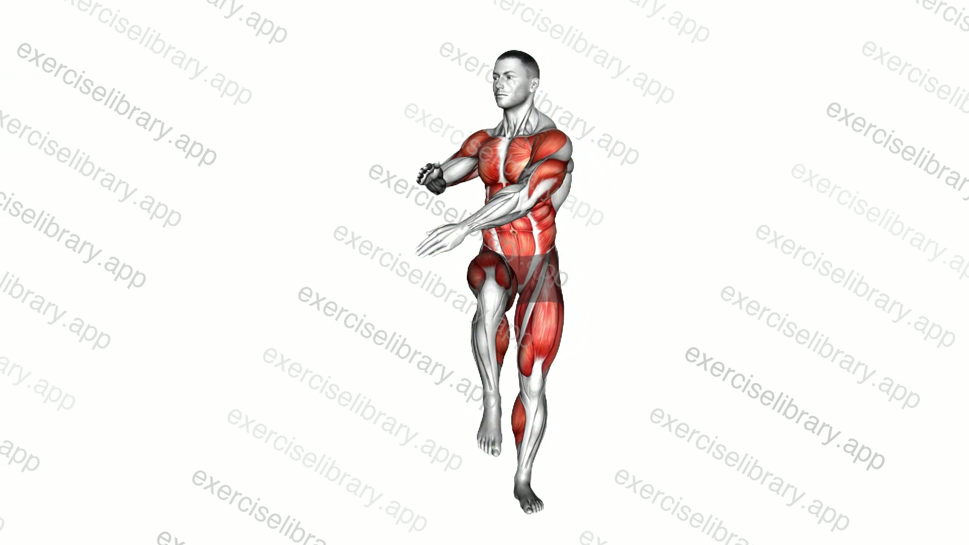 Alternate Knee Raise Side Reach demonstration