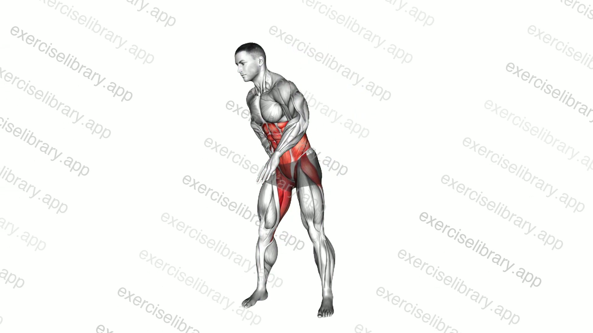 Alternate Oblique Pulse Twist Side Reach demonstration