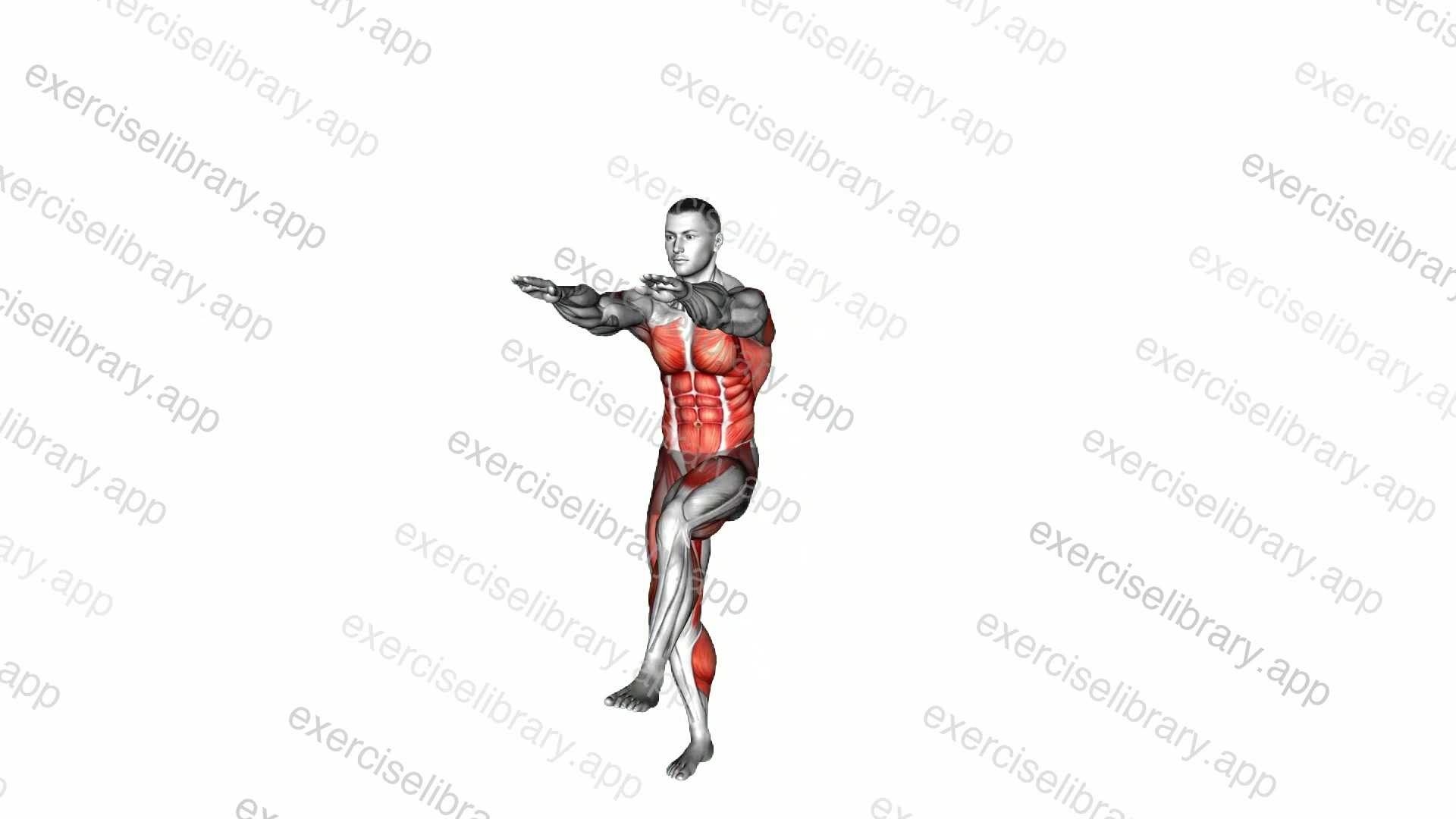 Alternate Leg Lift Double Hands Crunch demonstration