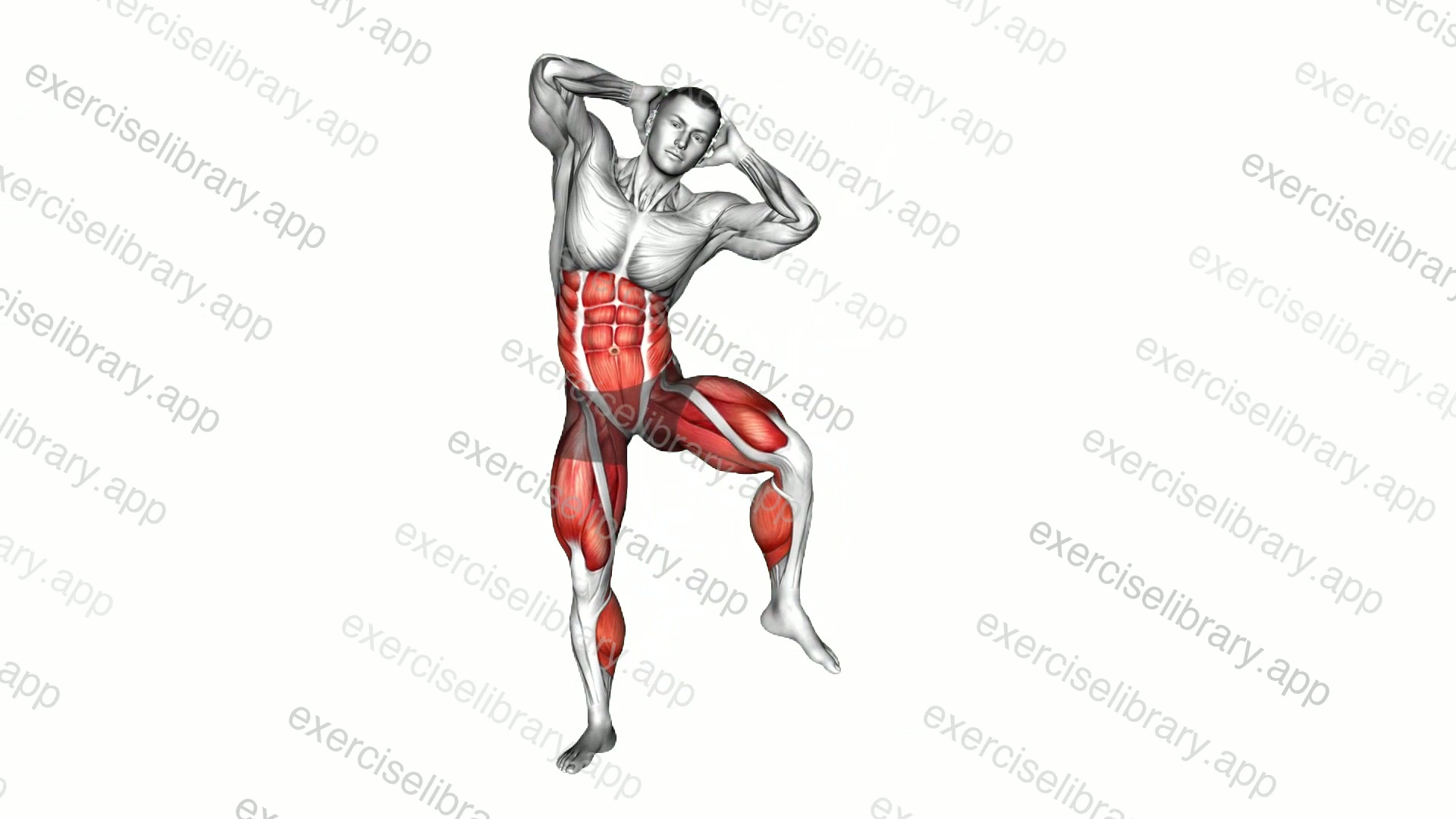 Standing Alternate Side Crunch and Raise demonstration