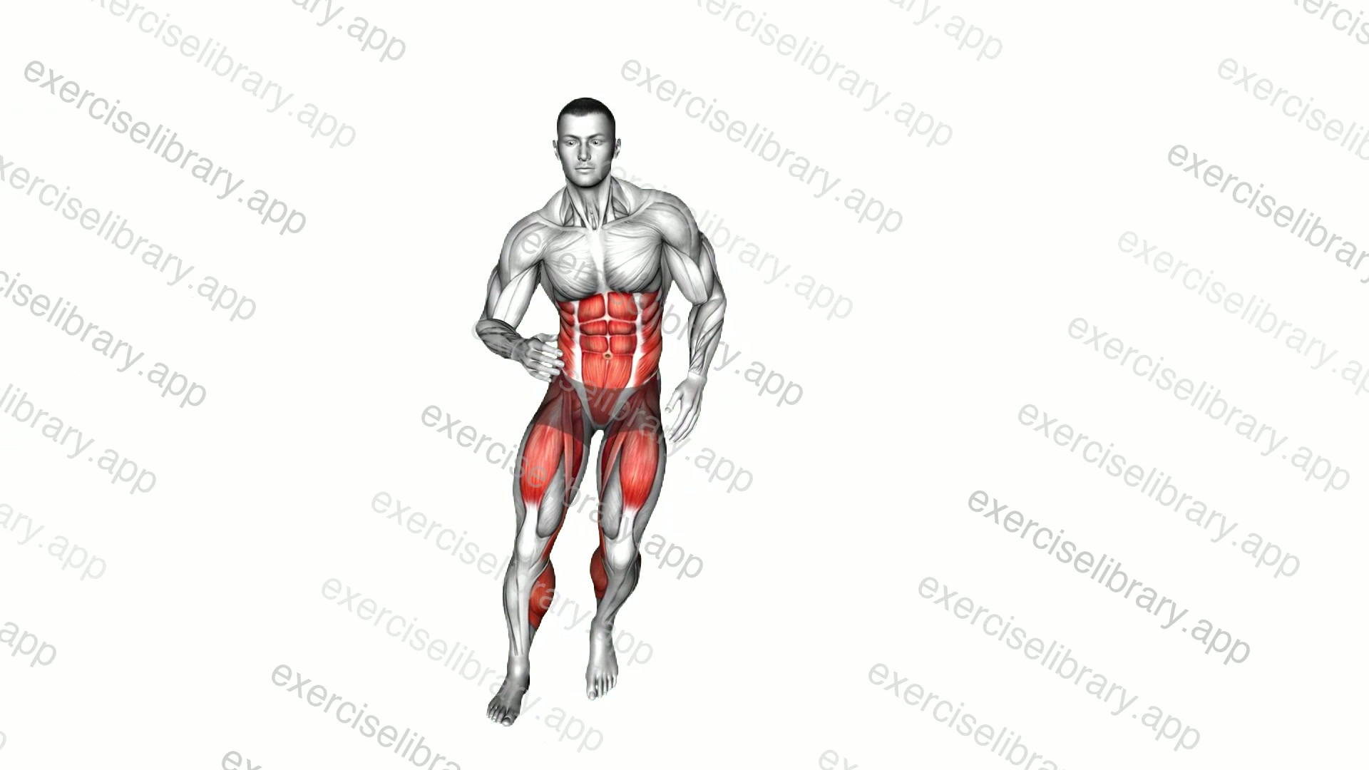 Side to Side Hop demonstration