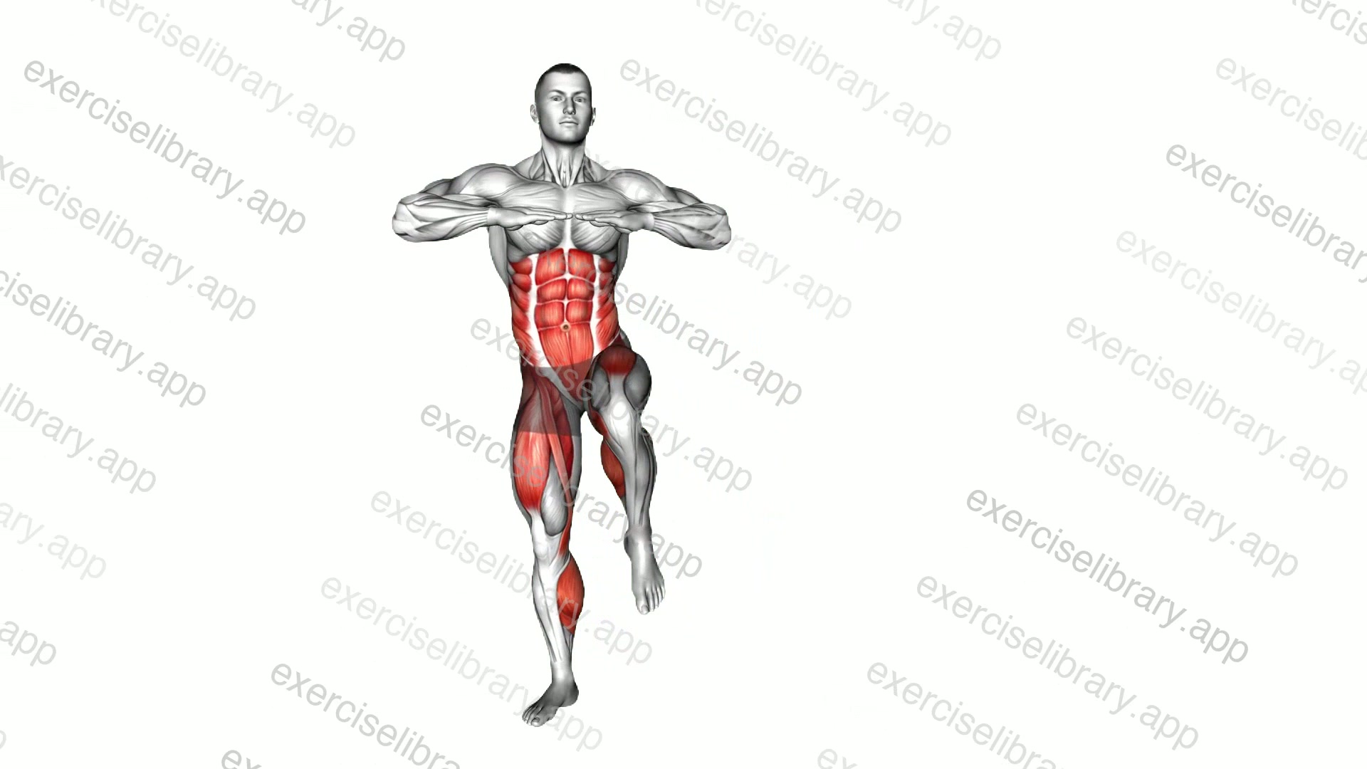 Alternate Twisting Knee Thrust demonstration