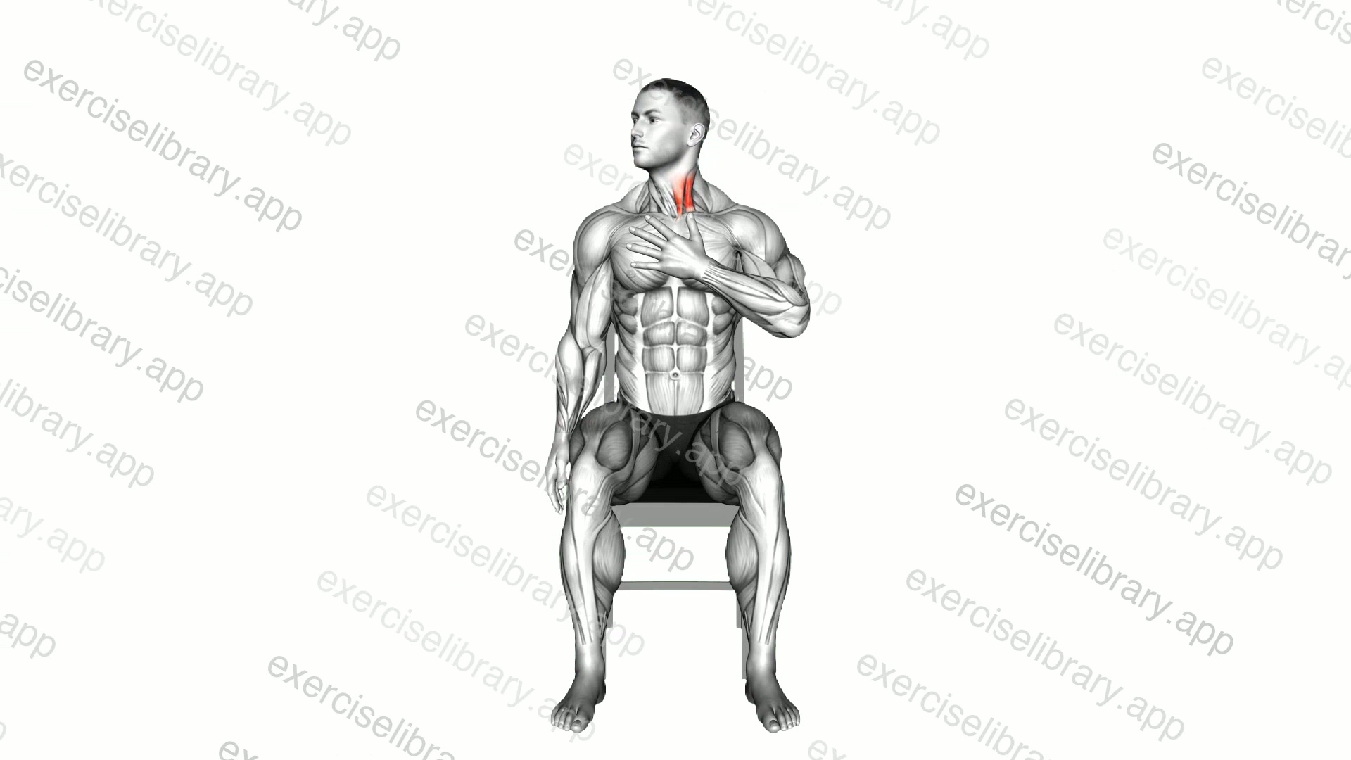 Seated Neck Backward Stretch demonstration