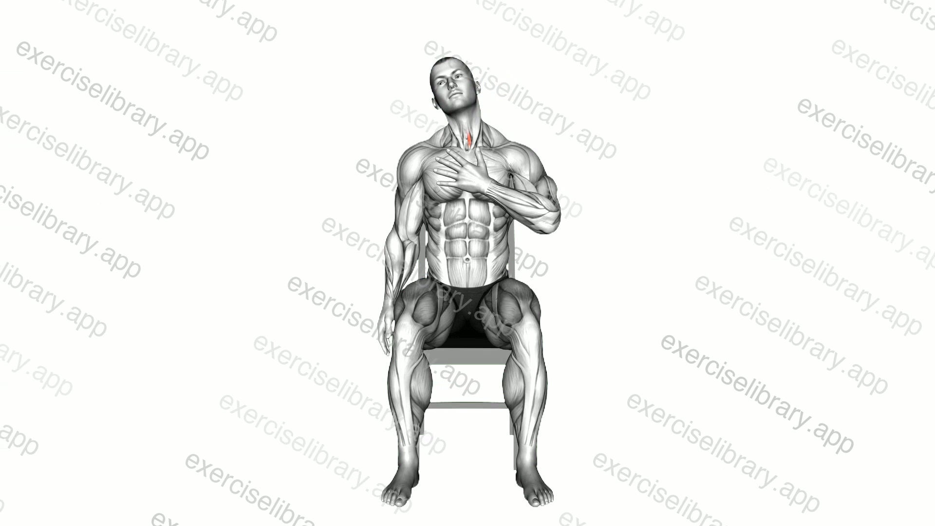 Seated Neck Side Upward Stretch demonstration