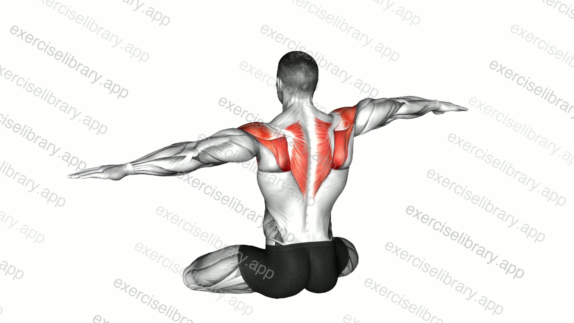 Seated Shoulder Waves demonstration