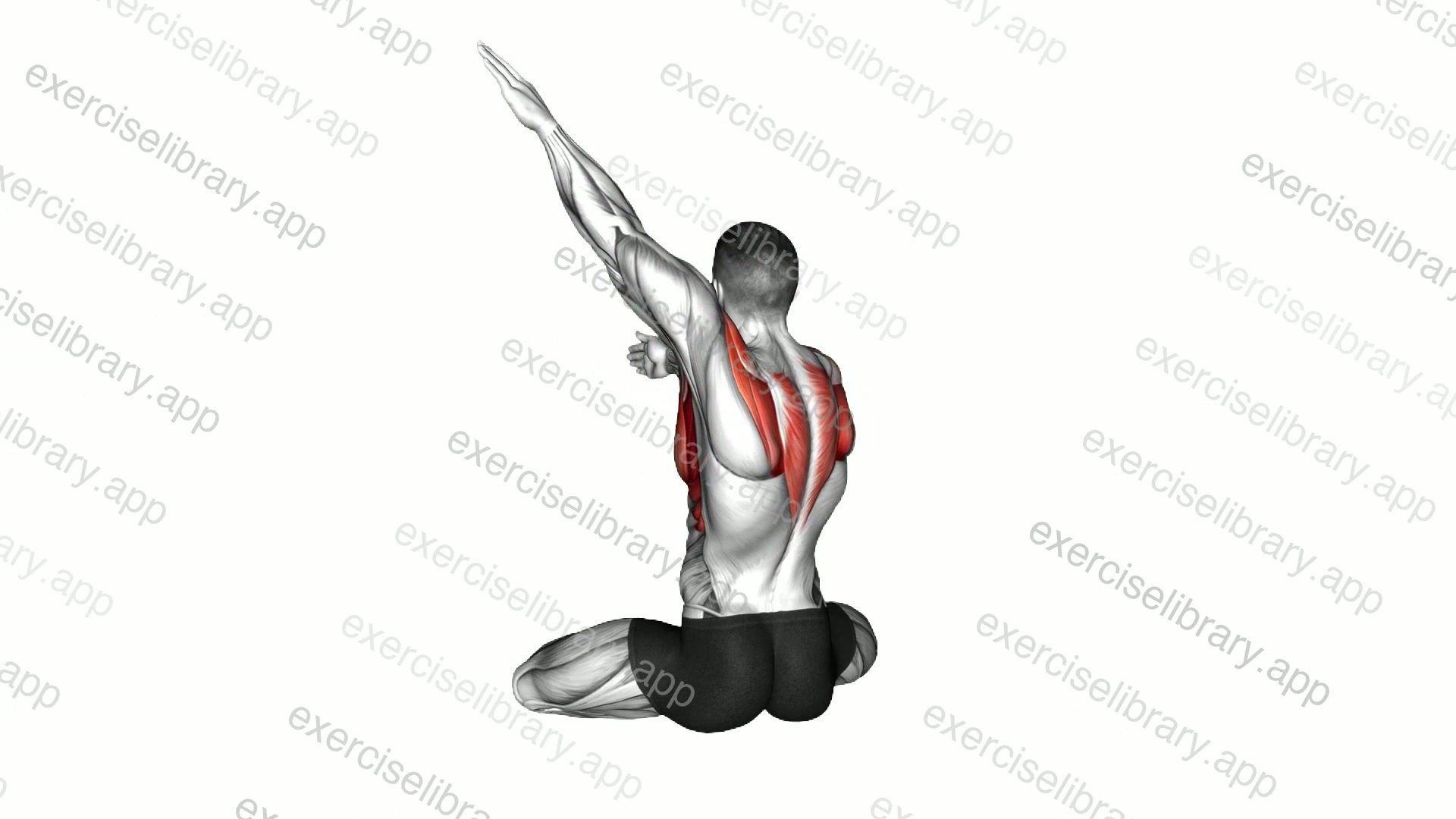 Seated Alternate Arms Archer Back Rotation demonstration