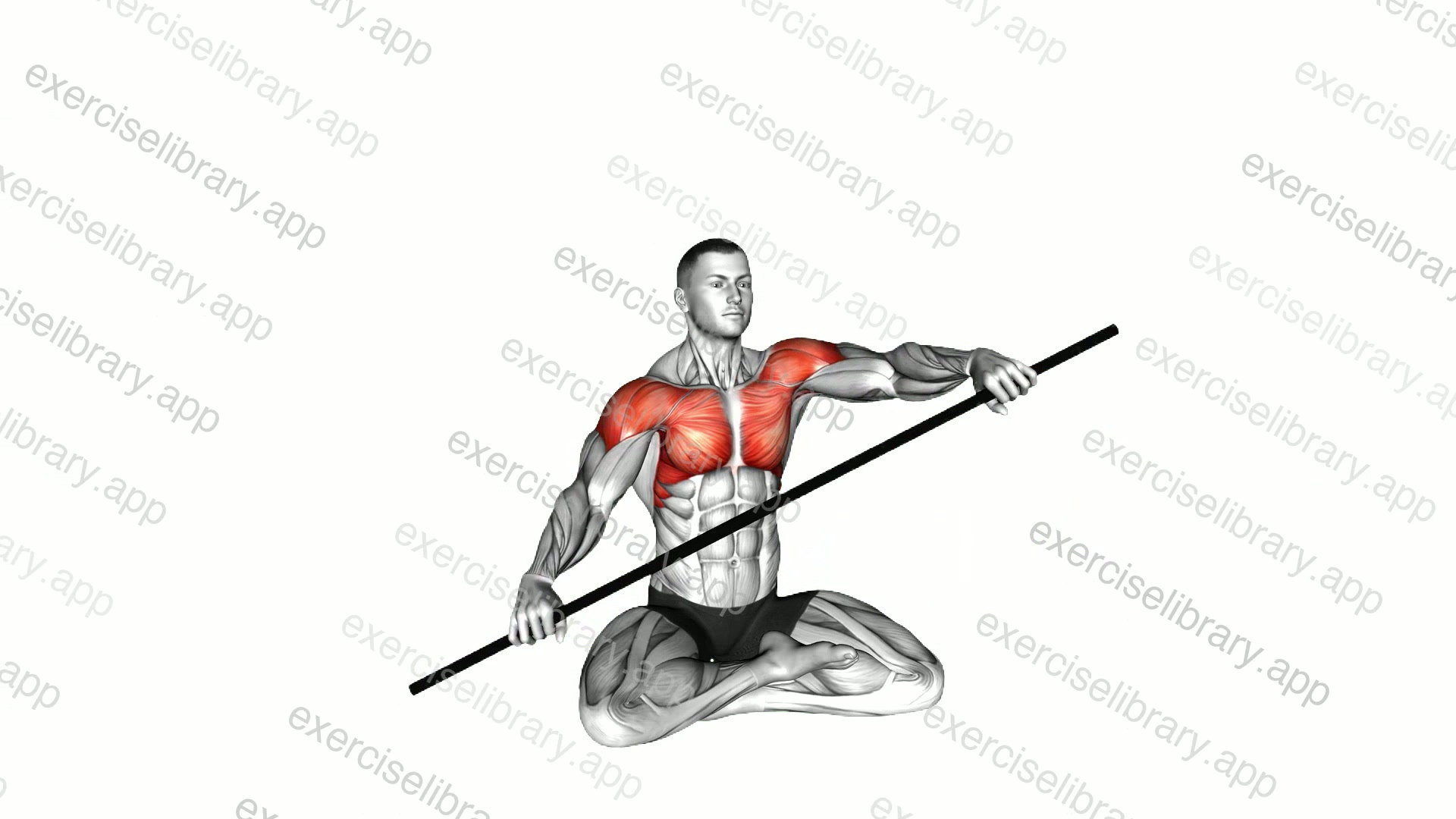 Seated Stick Pass Around Stretch demonstration