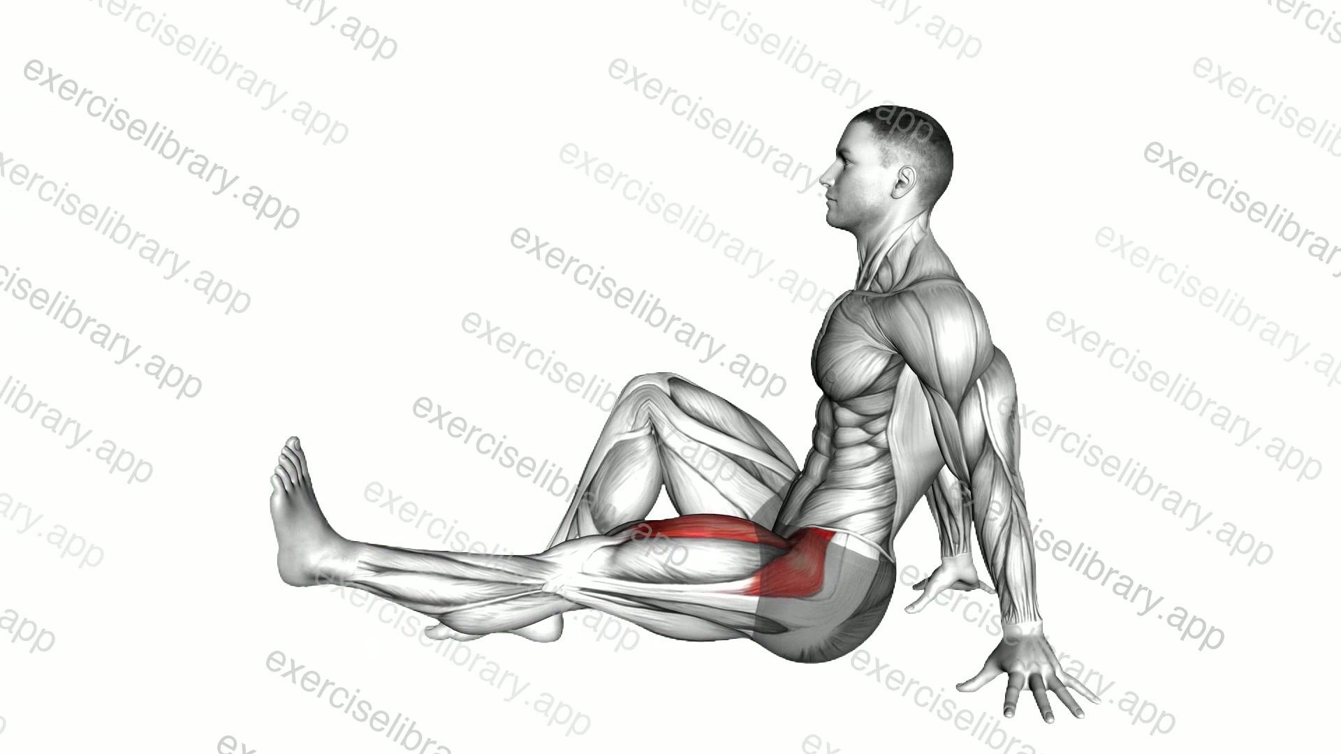 Seated Single Leg Raise demonstration
