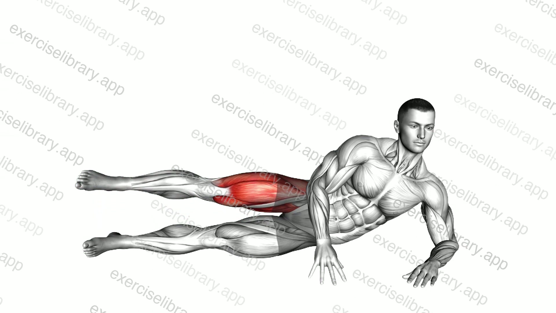 Side Lying Single Leg Kick demonstration
